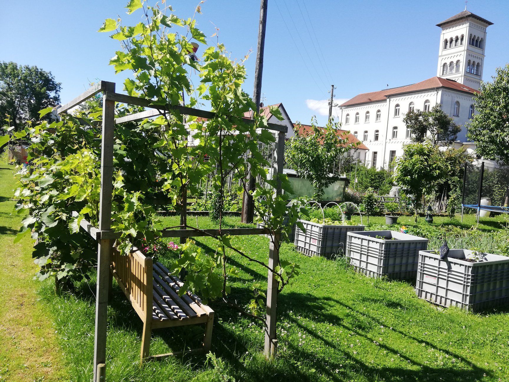 Das Salvatorkolleg