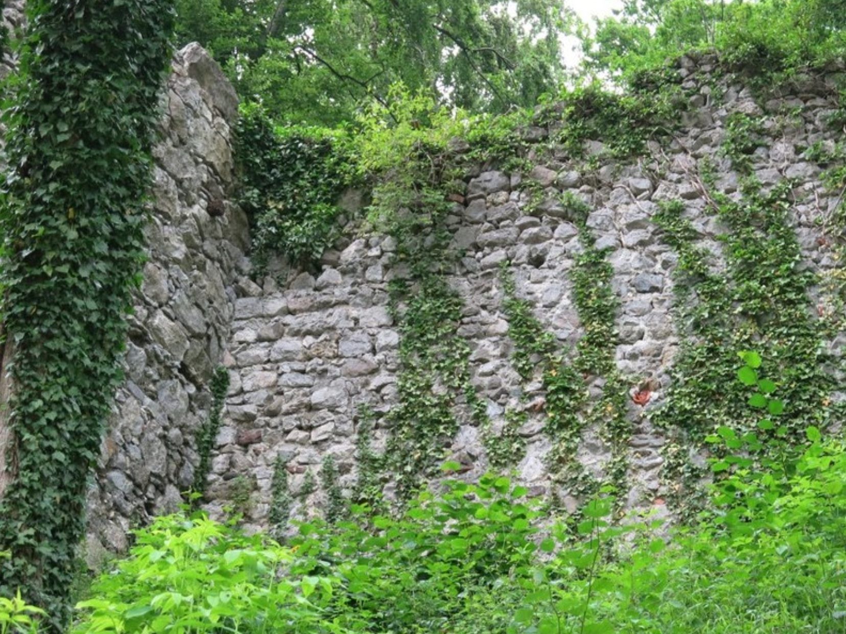 Auf der Ruine Neuburg konnte wieder ein wichtiger Teil vor dem Verfall gerettet werden