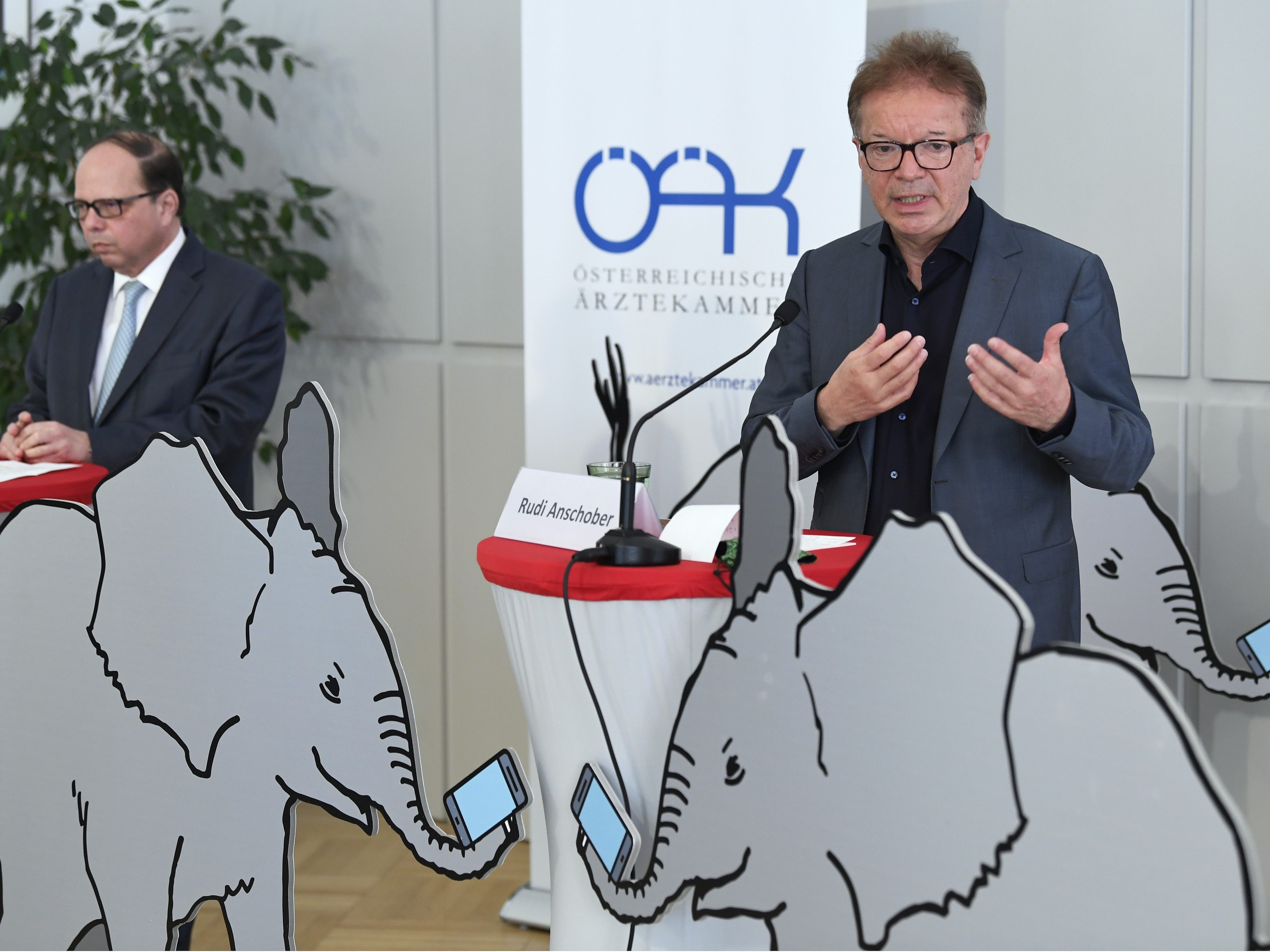 Gesundheitsminister Rudolf Anschober und Ärztekammerpräsident Thomas Szekeres Gesundheitsminister Rudolf Anschober und Ärztekammerpräsident Thomas Szekeres