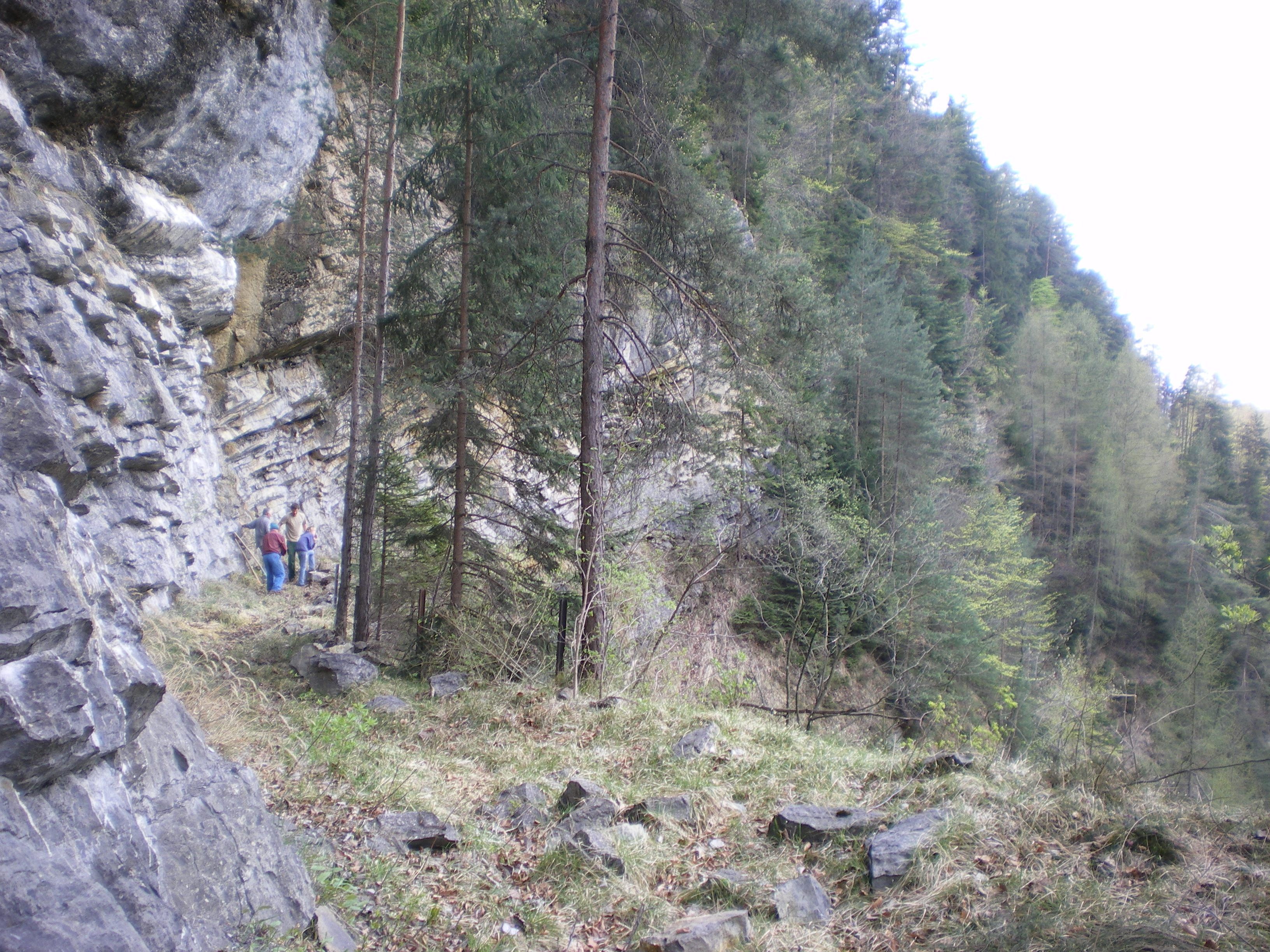 Masellaweg
