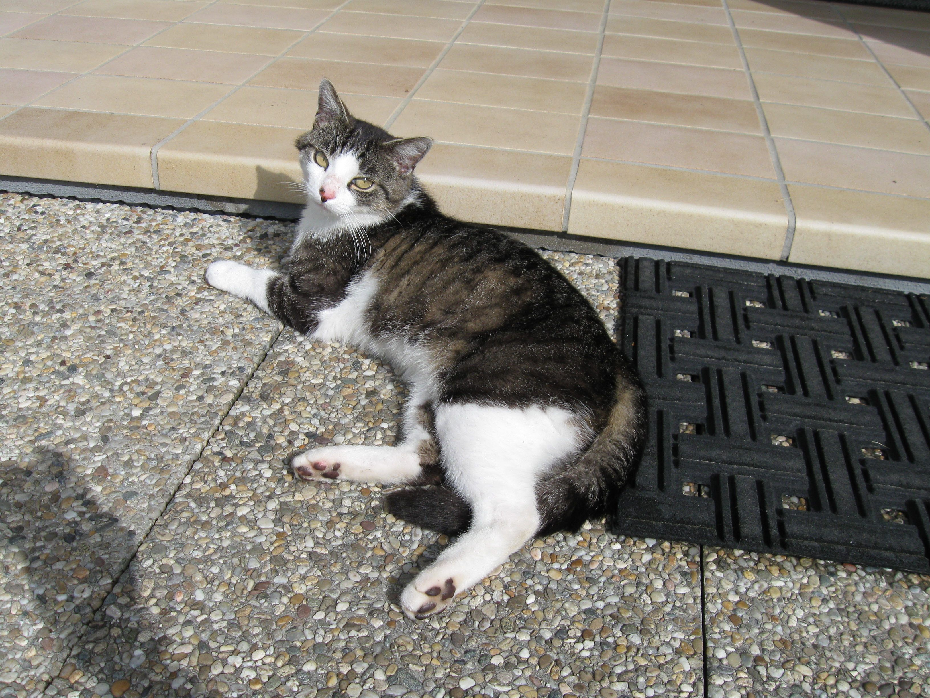 Henry