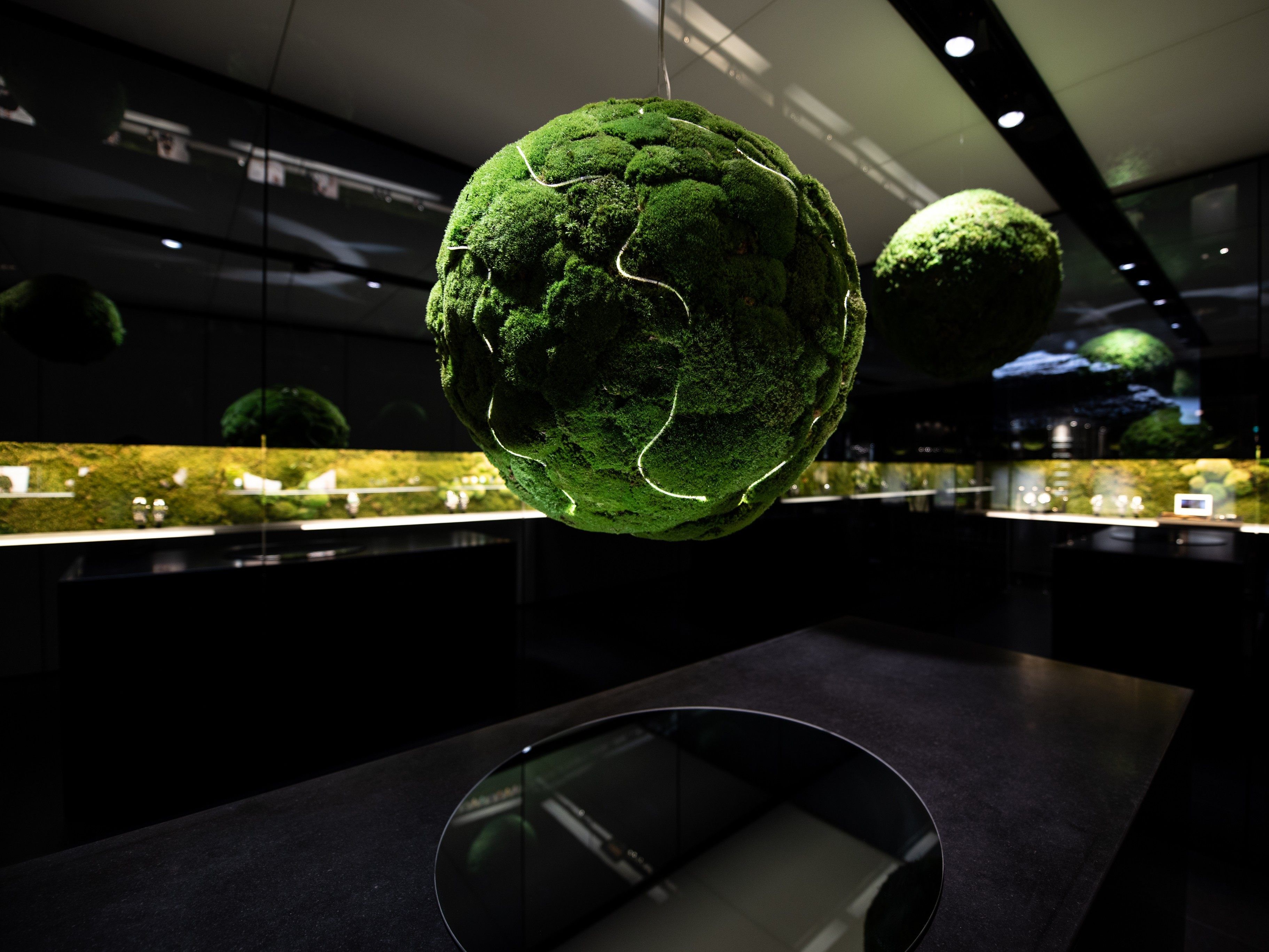 Die Rado Boutique in der Kärntner Straße wird derzeit mit Moos und Lichtleiter geschmückt. Die Rado Boutique in der Kärntner Straße wird derzeit mit Moos und Lichtleiter geschmückt.