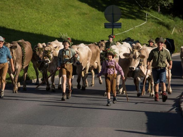 Alpabtriebe im Bregenzerwlad