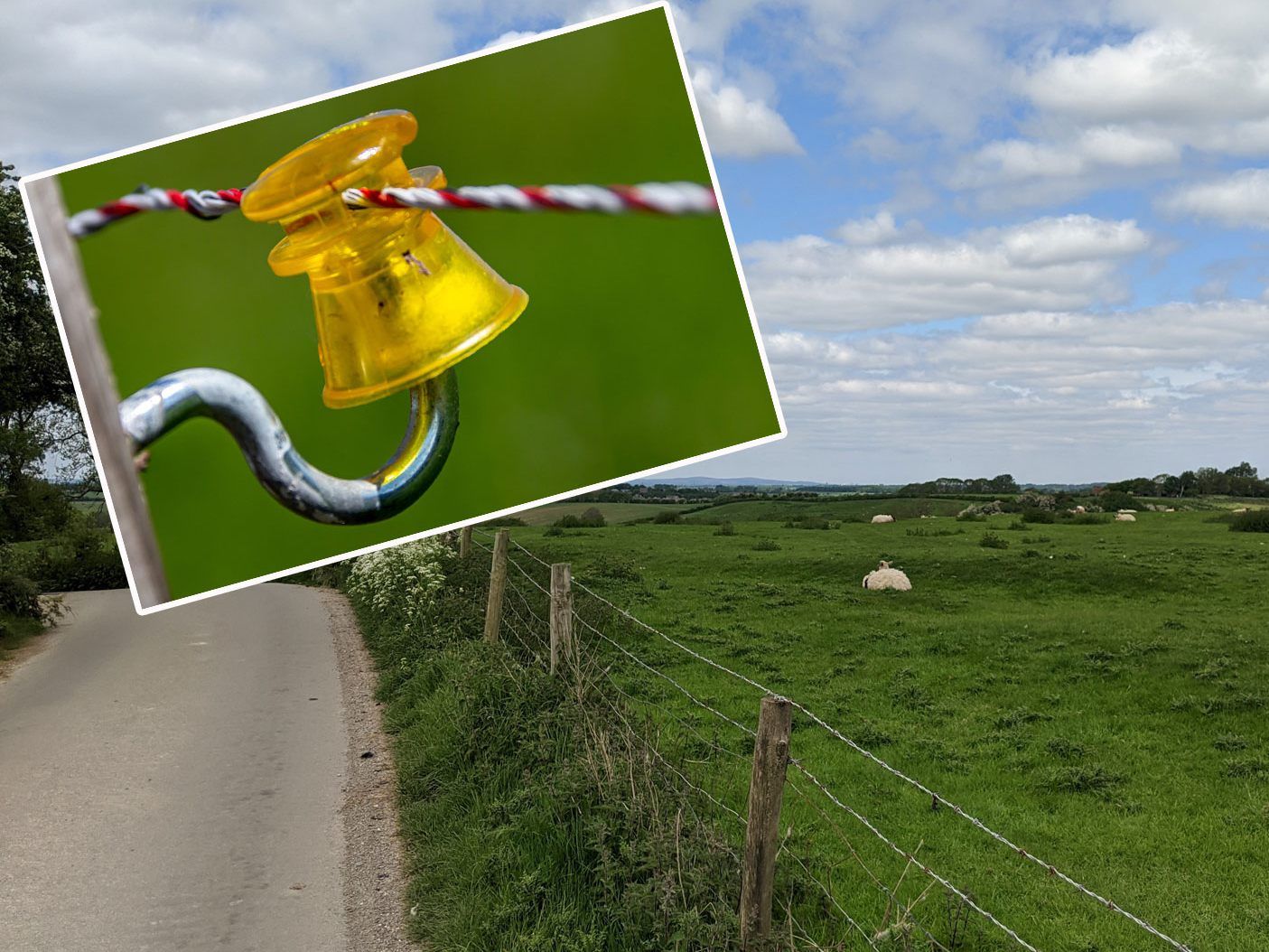 Dass ein Weidezaun unter Strom stehen kann, war der Frau nicht bekannt.