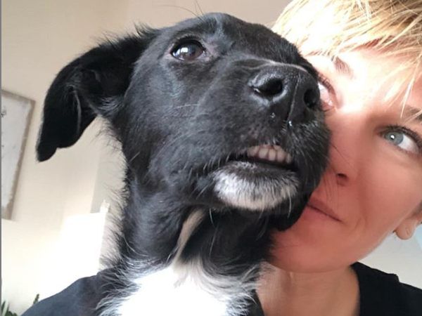 Kerstin Landsmann: "Mein Hund ist vegan."