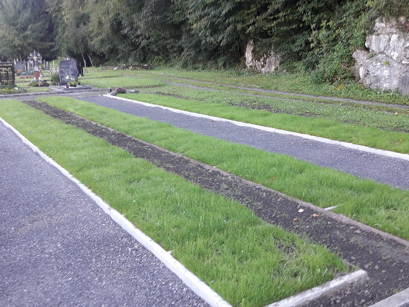 Das neue Urnenfeld auf dem Waldfriedhof in Rankweil