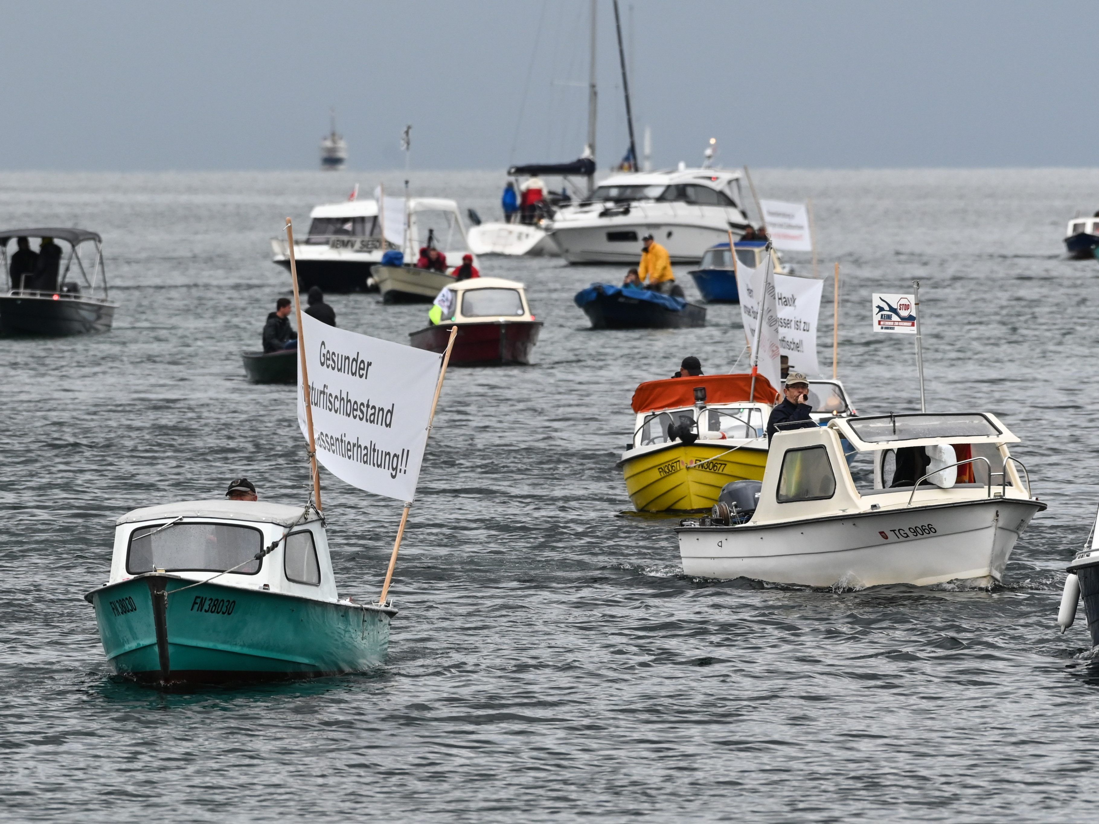 Die Bodenseefischer haben am Wochenende gegen eine Aquakultur protestiert. Die Bodenseefischer haben am Wochenende gegen eine Aquakultur protestiert.