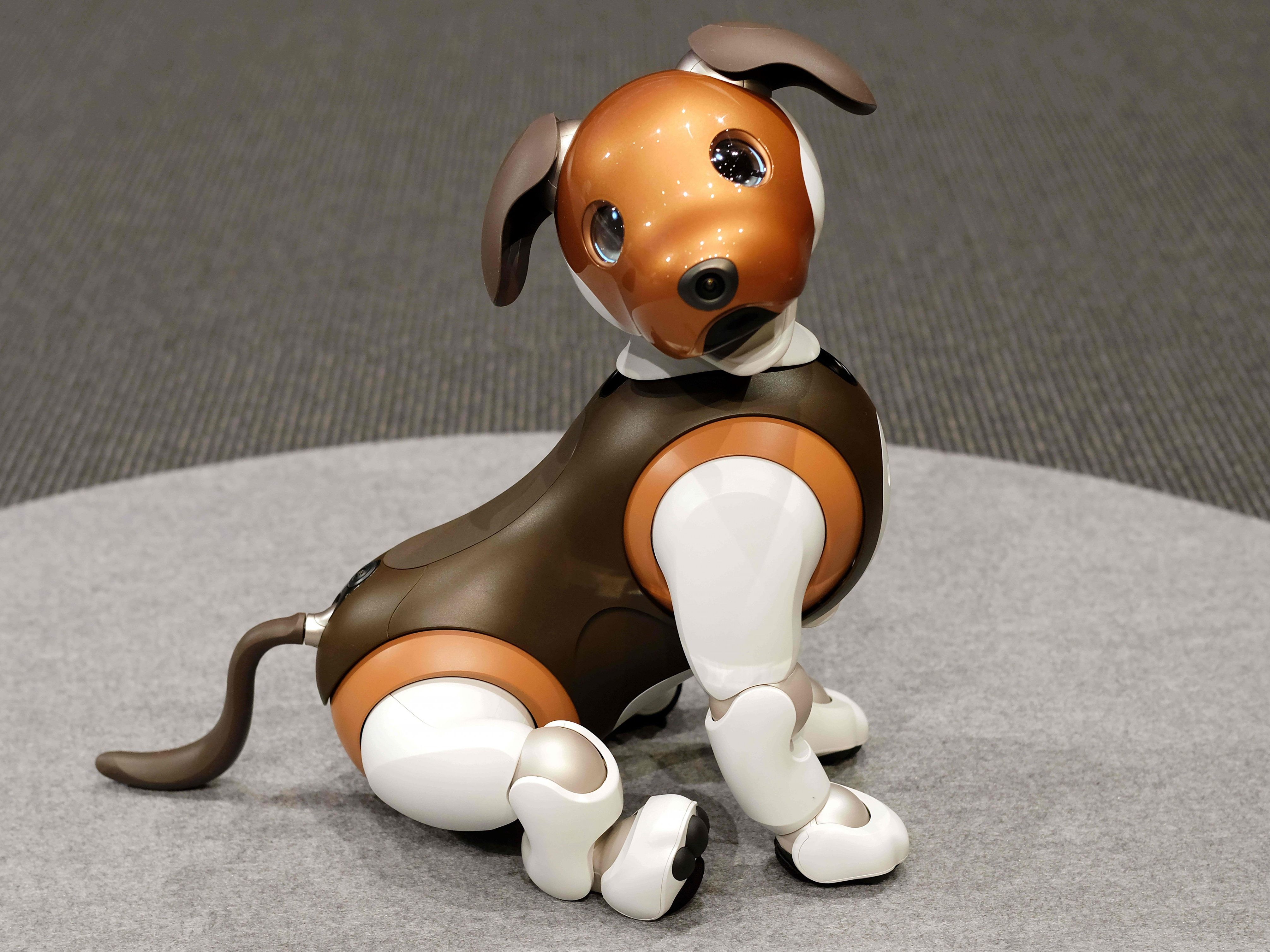 Roboterhund statt Familie?