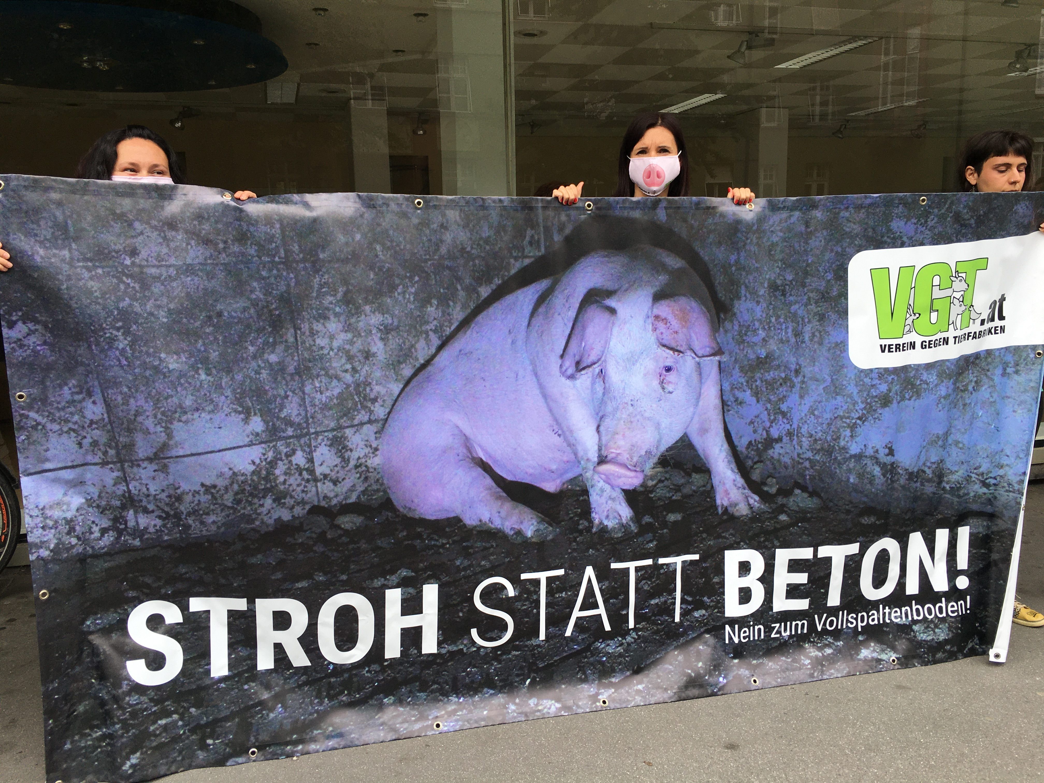 Der VGT setzt sich gegen Vollspalten ein. Der VGT setzt sich gegen Vollspalten ein.