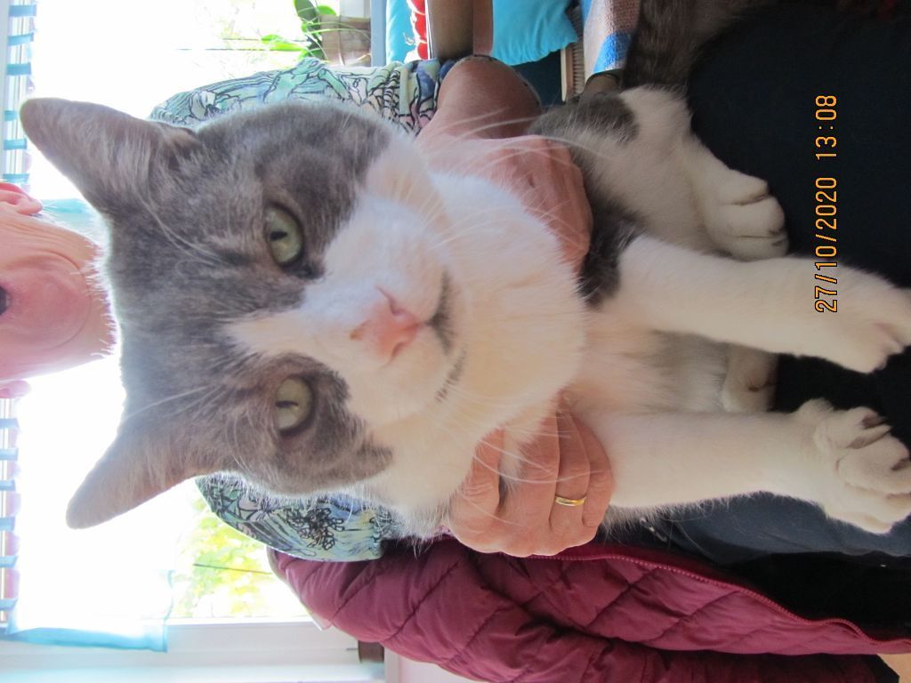 Fundkater