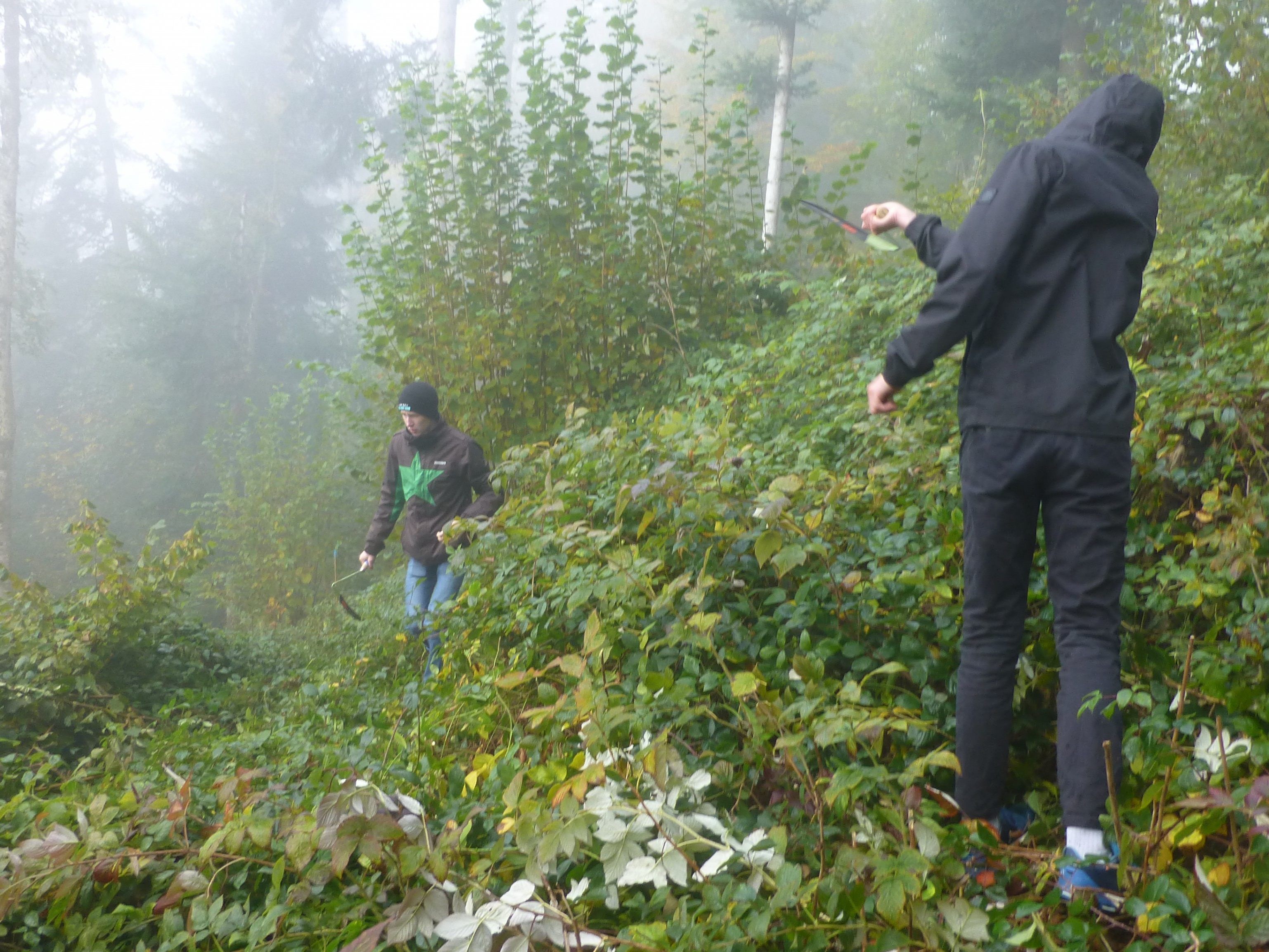 Mit Sicheln befreiten die BORG-Schüler das Waldstück von dem Brombeergestrüpp.