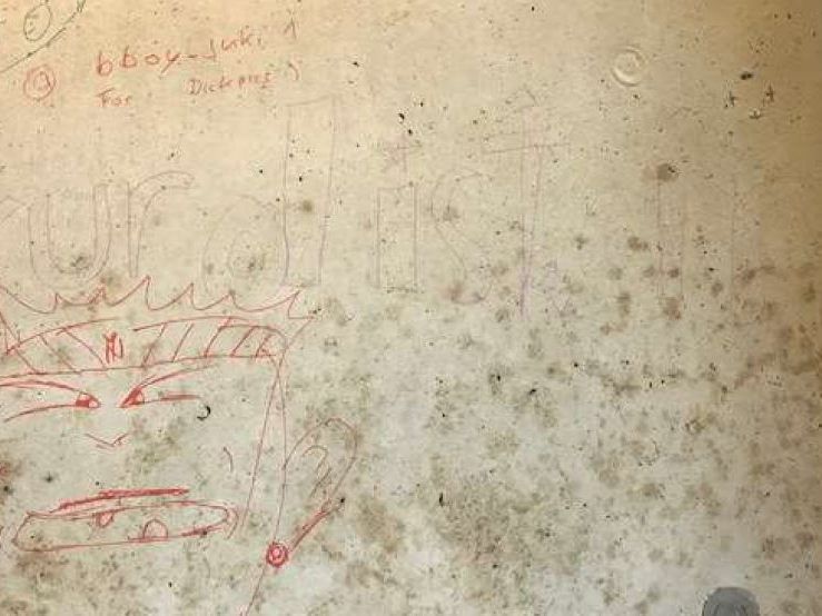Nach der Verwüstung einer öffentlichen Toilette sucht die Polizei nach Zeugen. Nach der Verwüstung einer öffentlichen Toilette sucht die Polizei nach Zeugen.