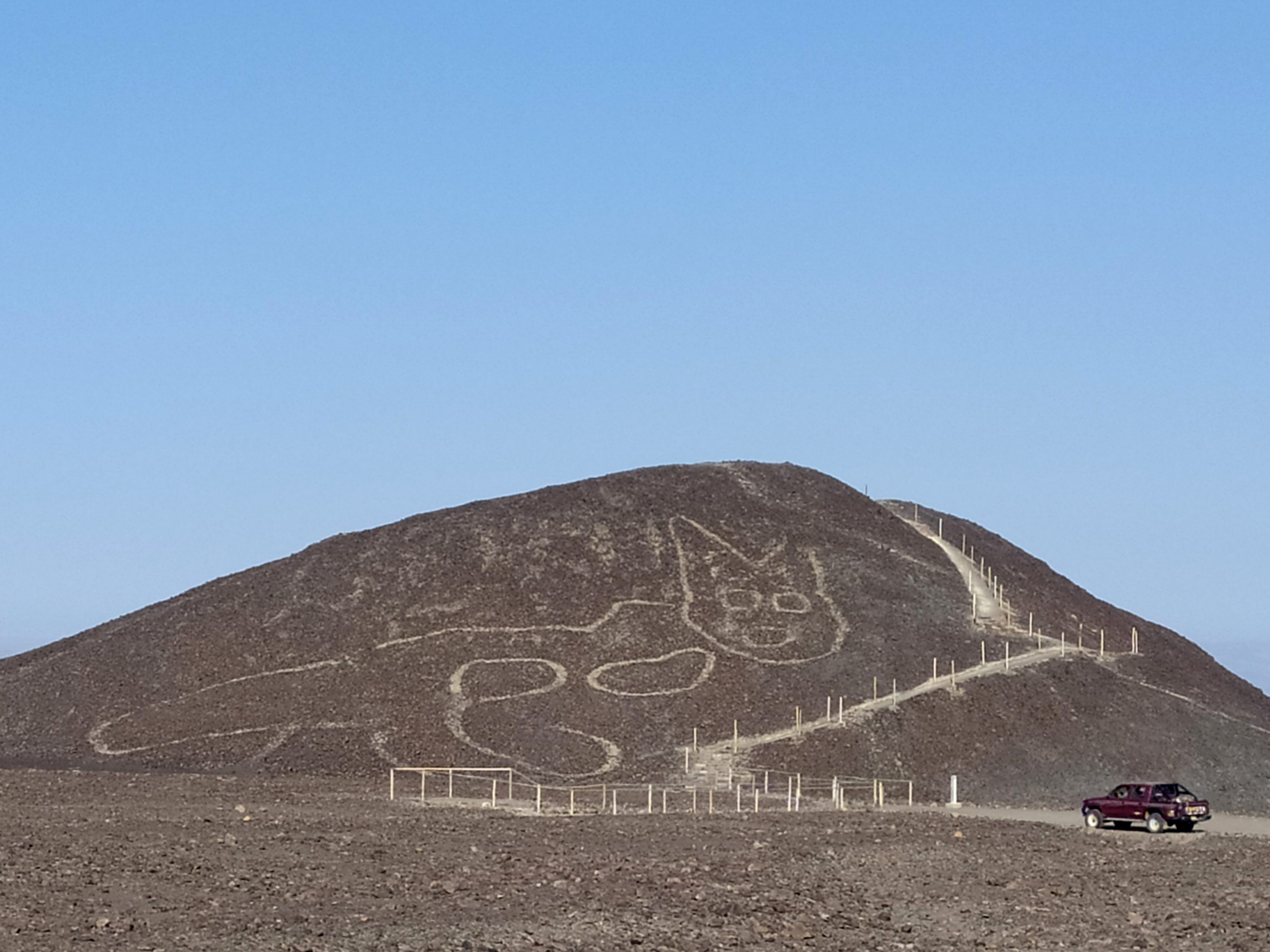 Scharrbild einer Katze in Peru entdeckt.