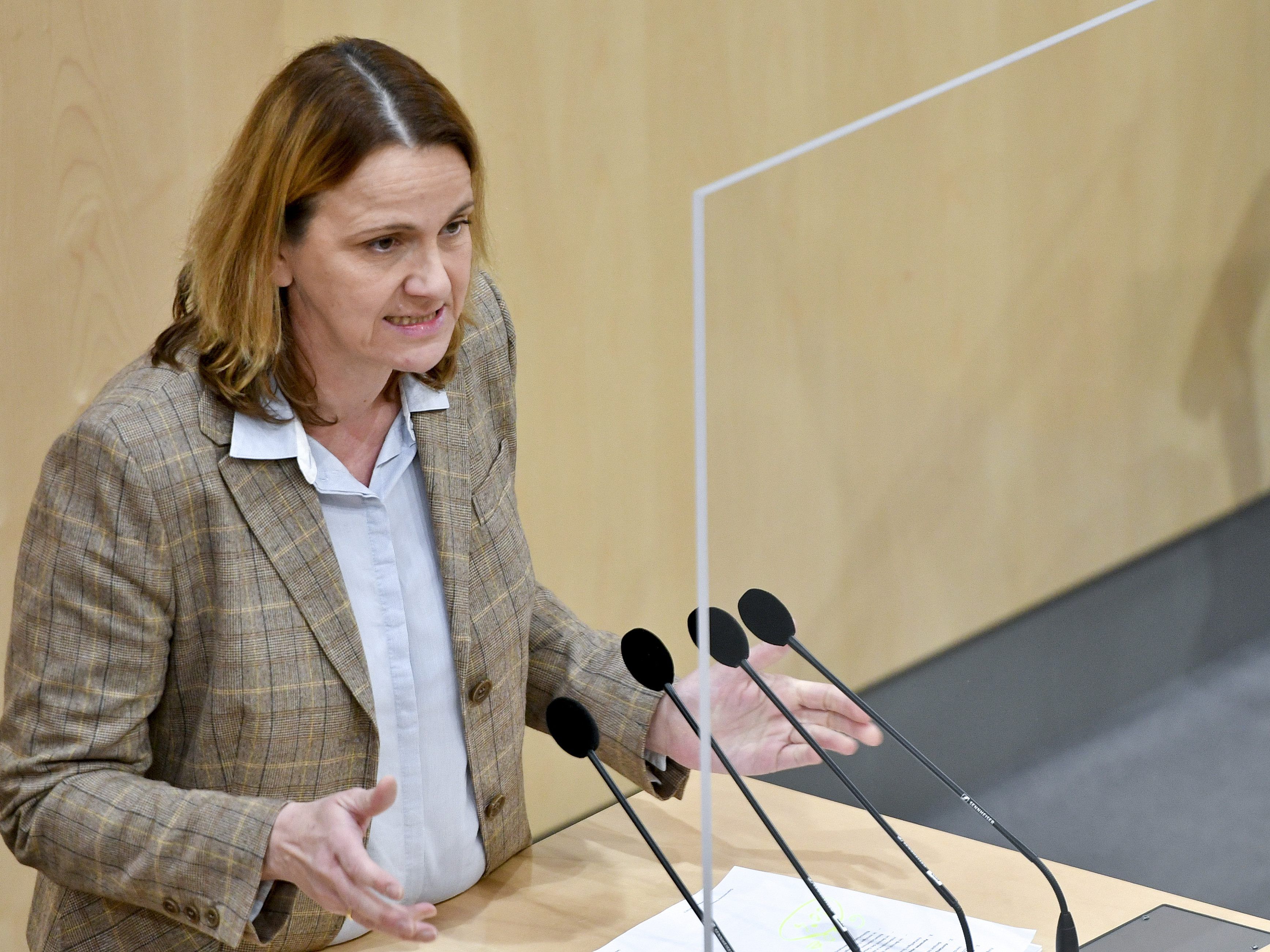 Dagmar Belakowitsch-Jenewein kritisierte das Vorgehen der Regierung in Sachen Arbeitsmarktpolitik Dagmar Belakowitsch-Jenewein kritisierte das Vorgehen der Regierung in Sachen Arbeitsmarktpolitik