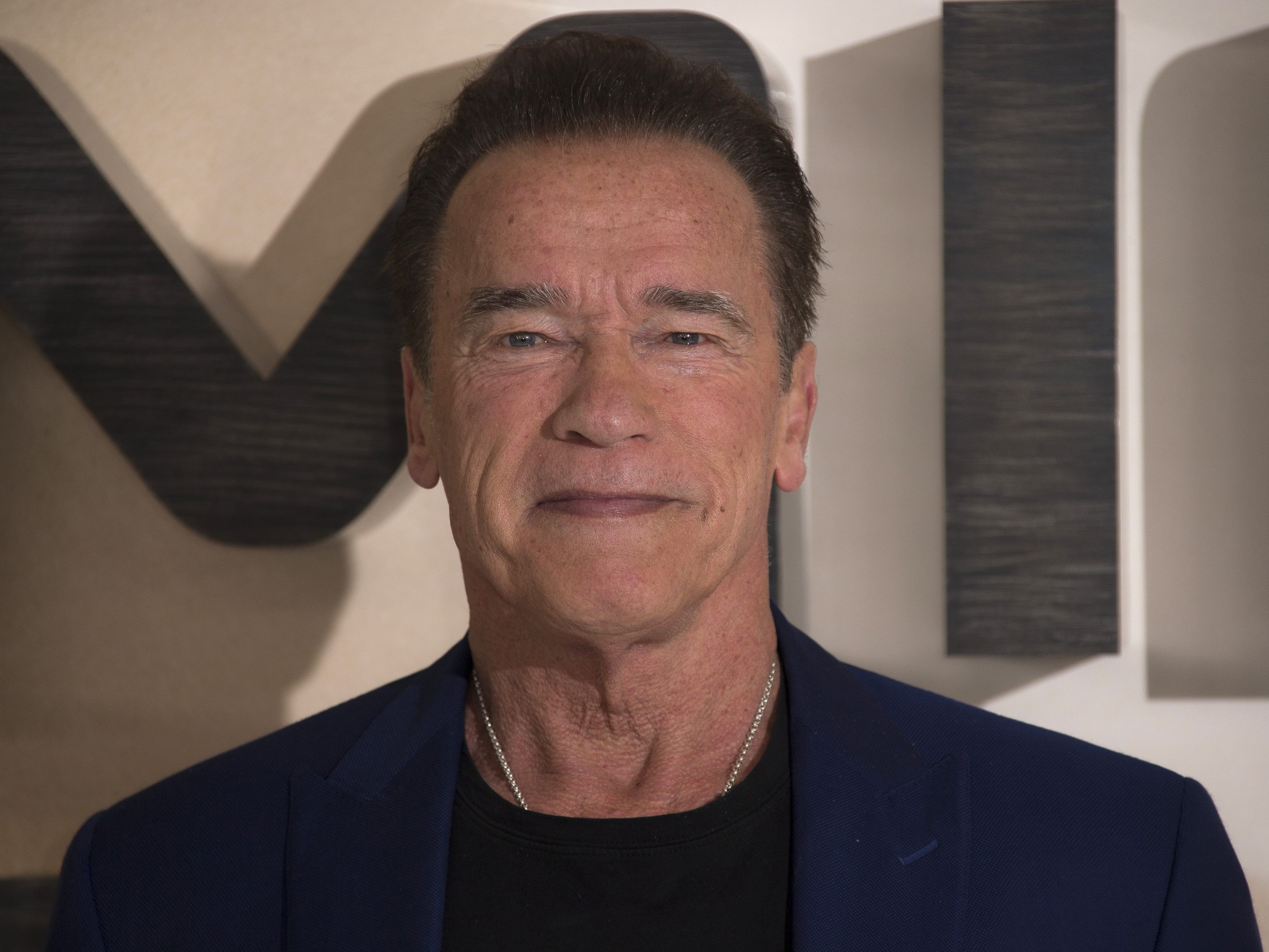 Hollywood-Star Arnold Schwarzenegger (73) wird erstmals in seiner langen Filmkarriere in einer Serien-Hauptrolle auftreten.
