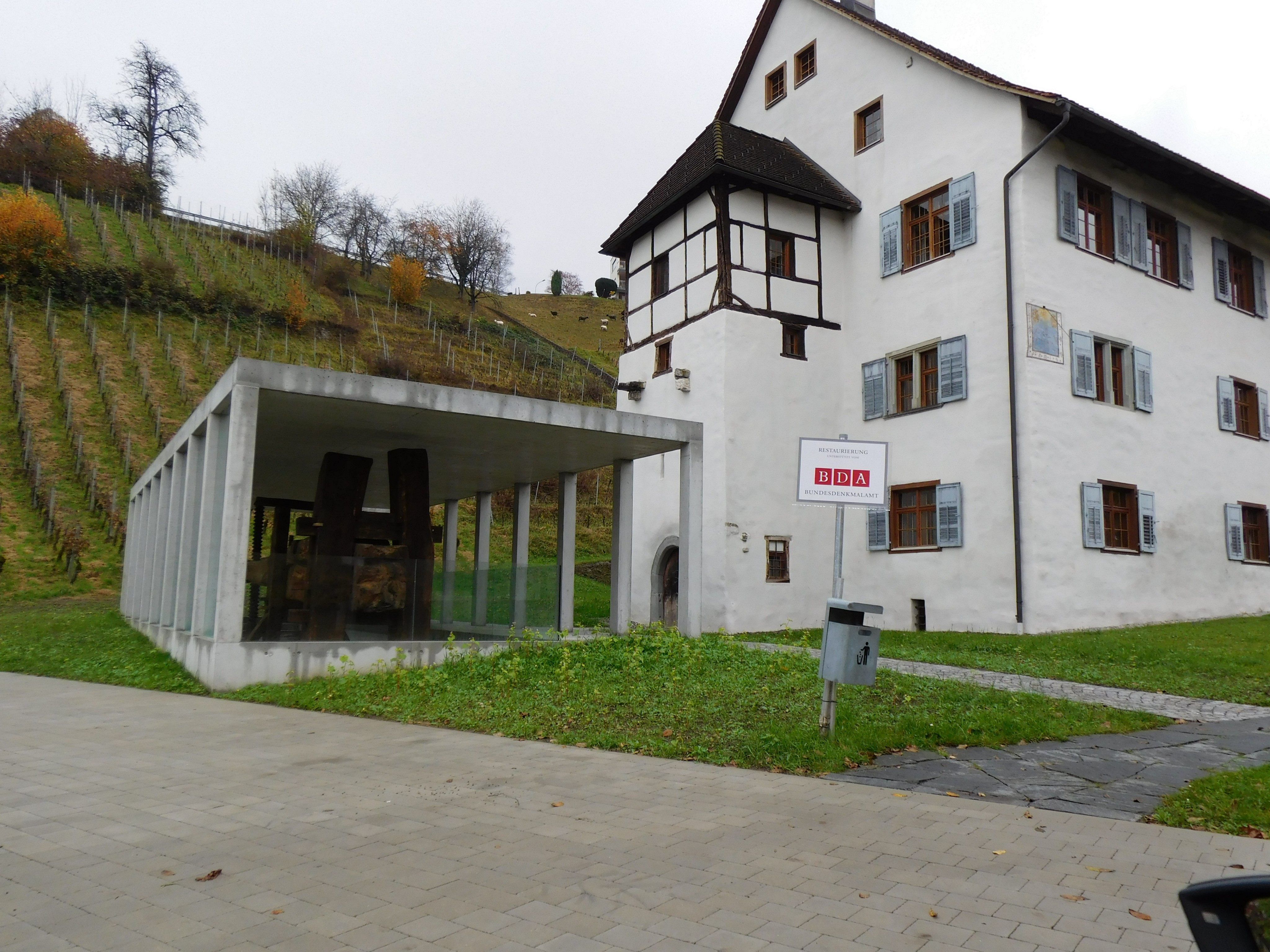 Der Torkelbaum fand neben dem Schlößle ein würdiges, neues Zuhause Der Torkelbaum fand neben dem Schlößle ein würdiges, neues Zuhause