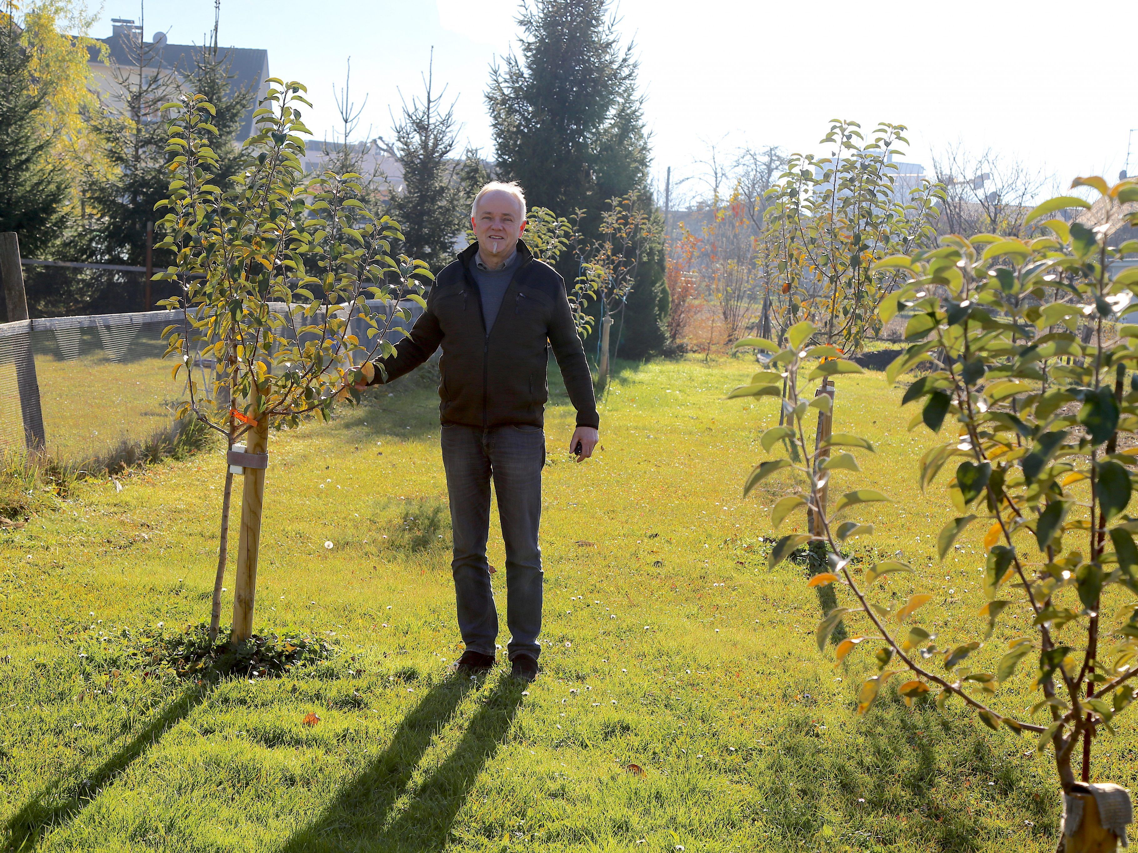 Josef Ammann zeigt stolz seine neuen Obstbäume in der Sägerstraße. Josef Ammann zeigt stolz seine neuen Obstbäume in der Sägerstraße.