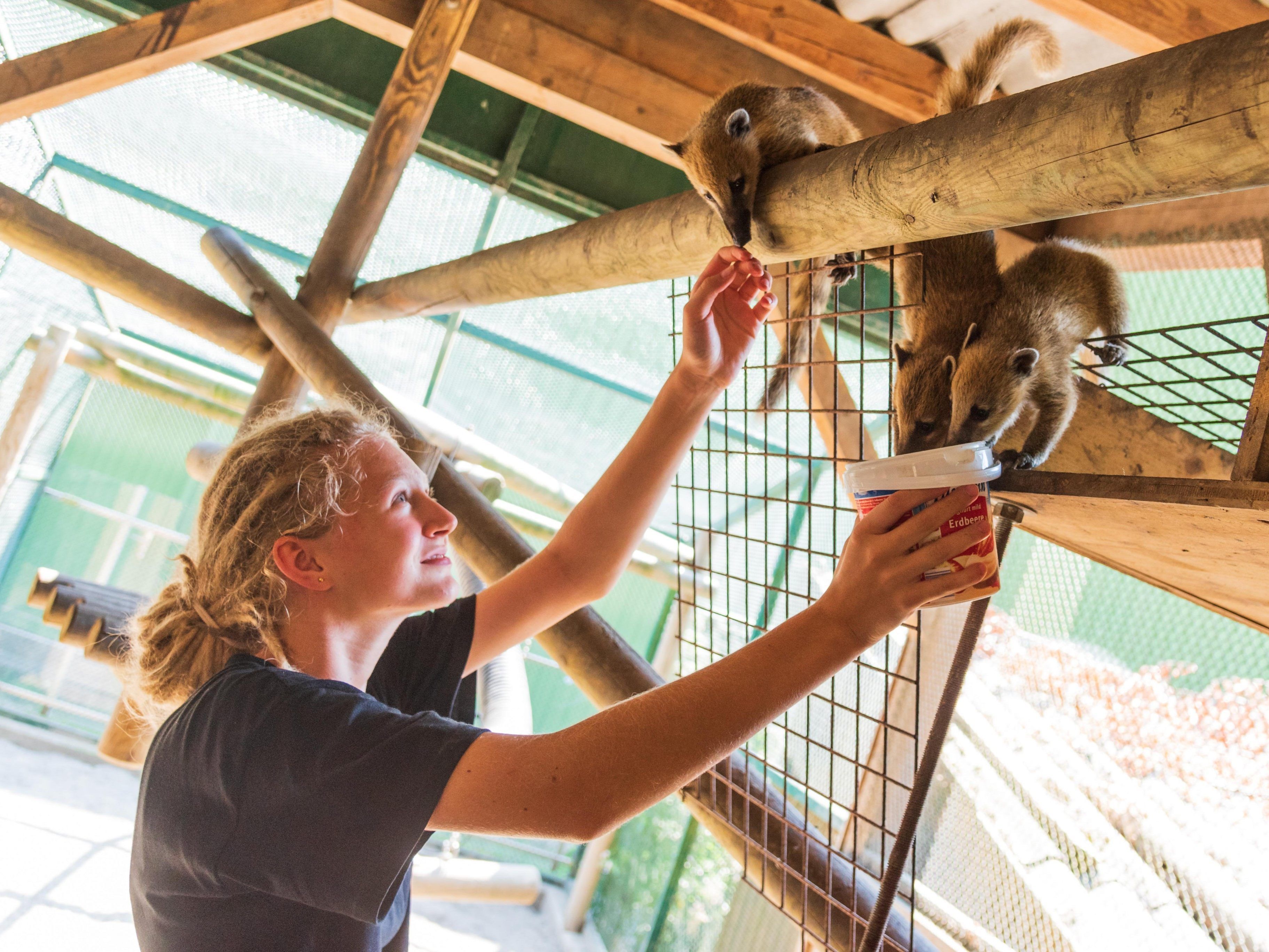 Doppelmayr Zoo im November geschlossen.