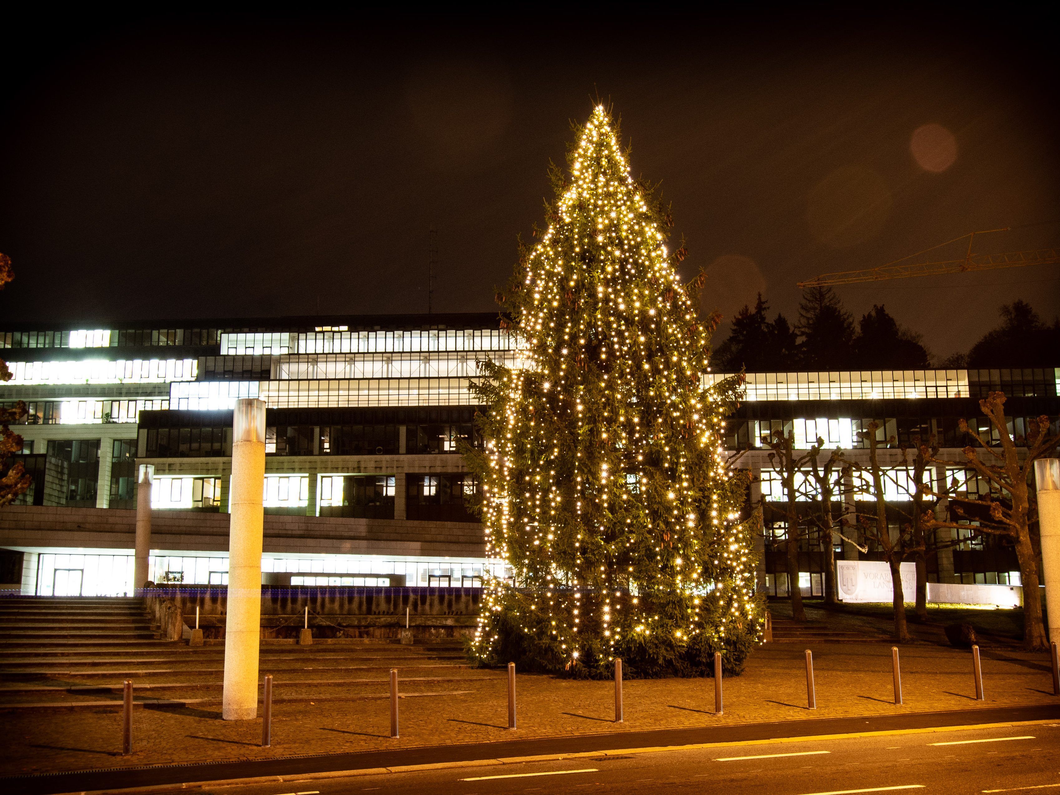 Weihnachtsbaum vor dem Landhaus