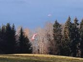 Der Pilot kollidierte mit einem Baum und blieb in diesem hängen.