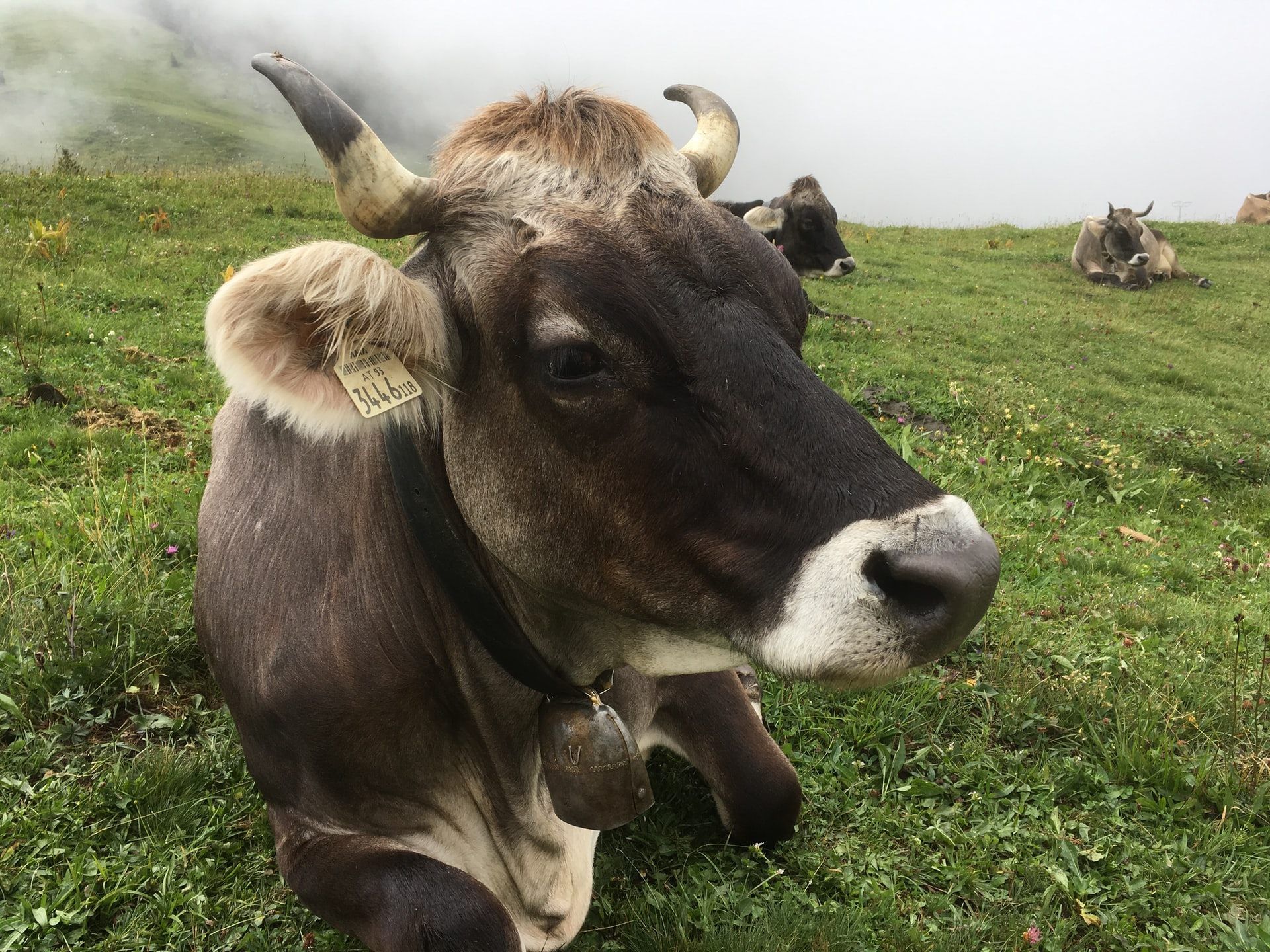 Landwirtschaft gilt als systemrelevant.