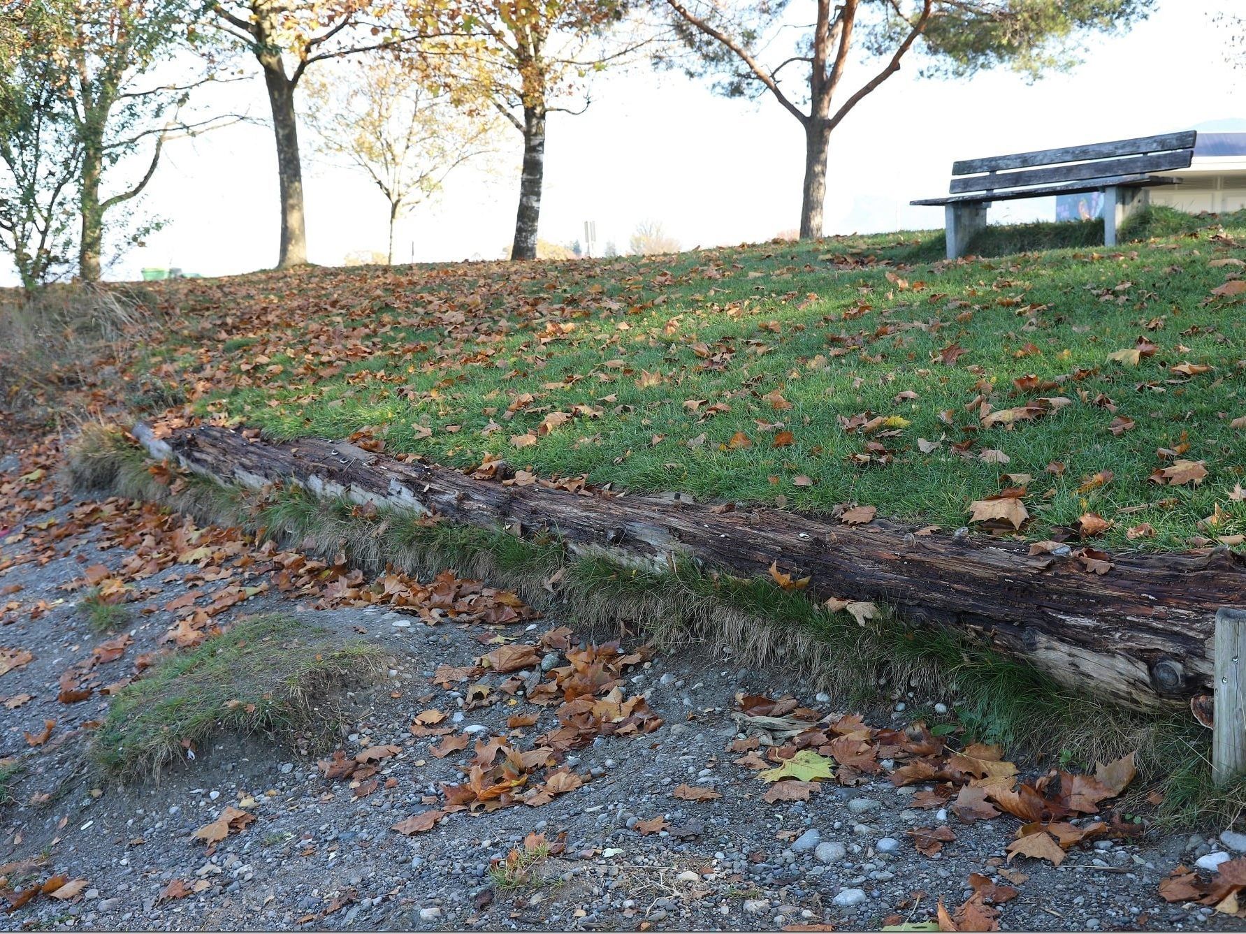 Morsche meterlange Baumstämme in den Seeanlagen Paspels bieten keine Sitzgelegenheit