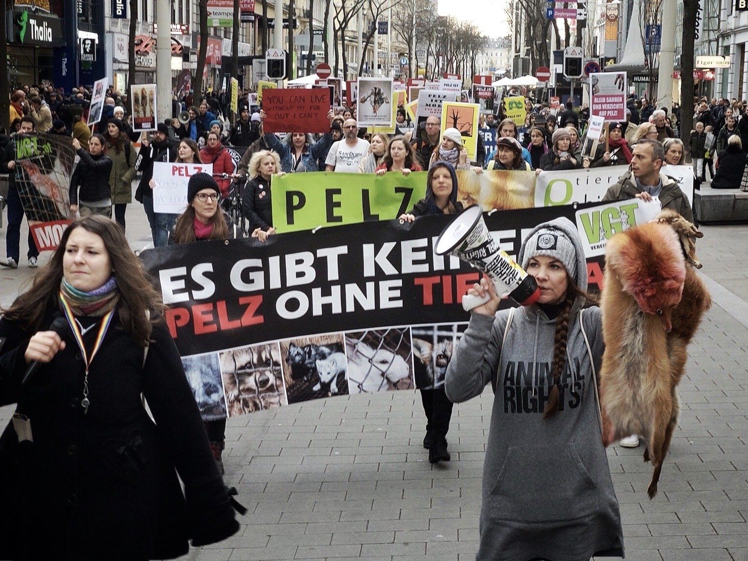 Die Tierschutz-Aktivistin Sandy P. Peng macht seit vielen Jahren auf das Leiden der Tiere für das Pelzgeschäft aufmerksam. Die Tierschutz-Aktivistin Sandy P. Peng macht seit vielen Jahren auf das Leiden der Tiere für das Pelzgeschäft aufmerksam.