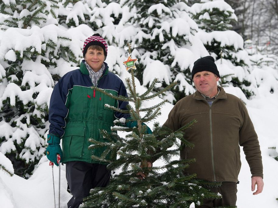 Christbäume der Familie Jochum