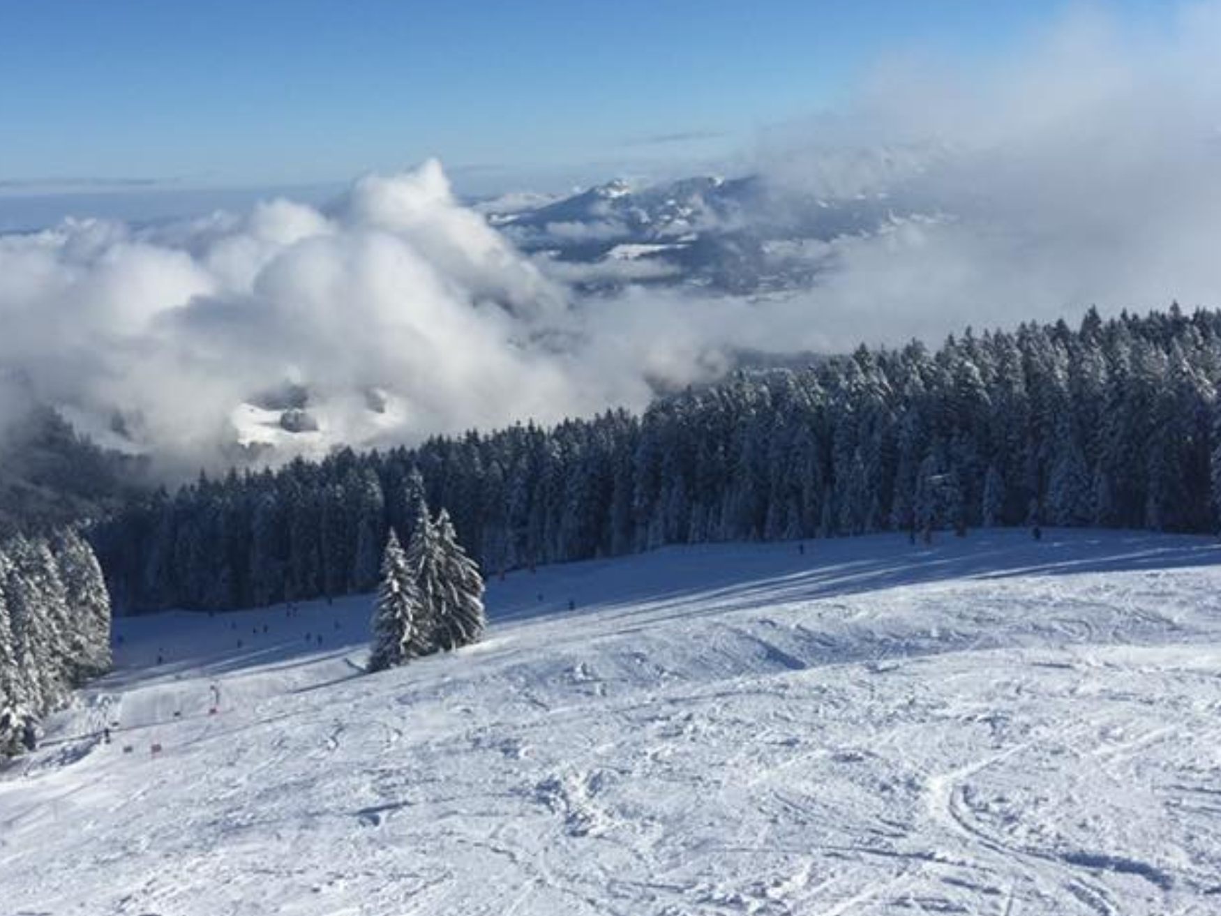 Im Skigebiet Bödele startet in Kürze die neue Skisaison Im Skigebiet Bödele startet in Kürze die neue Skisaison