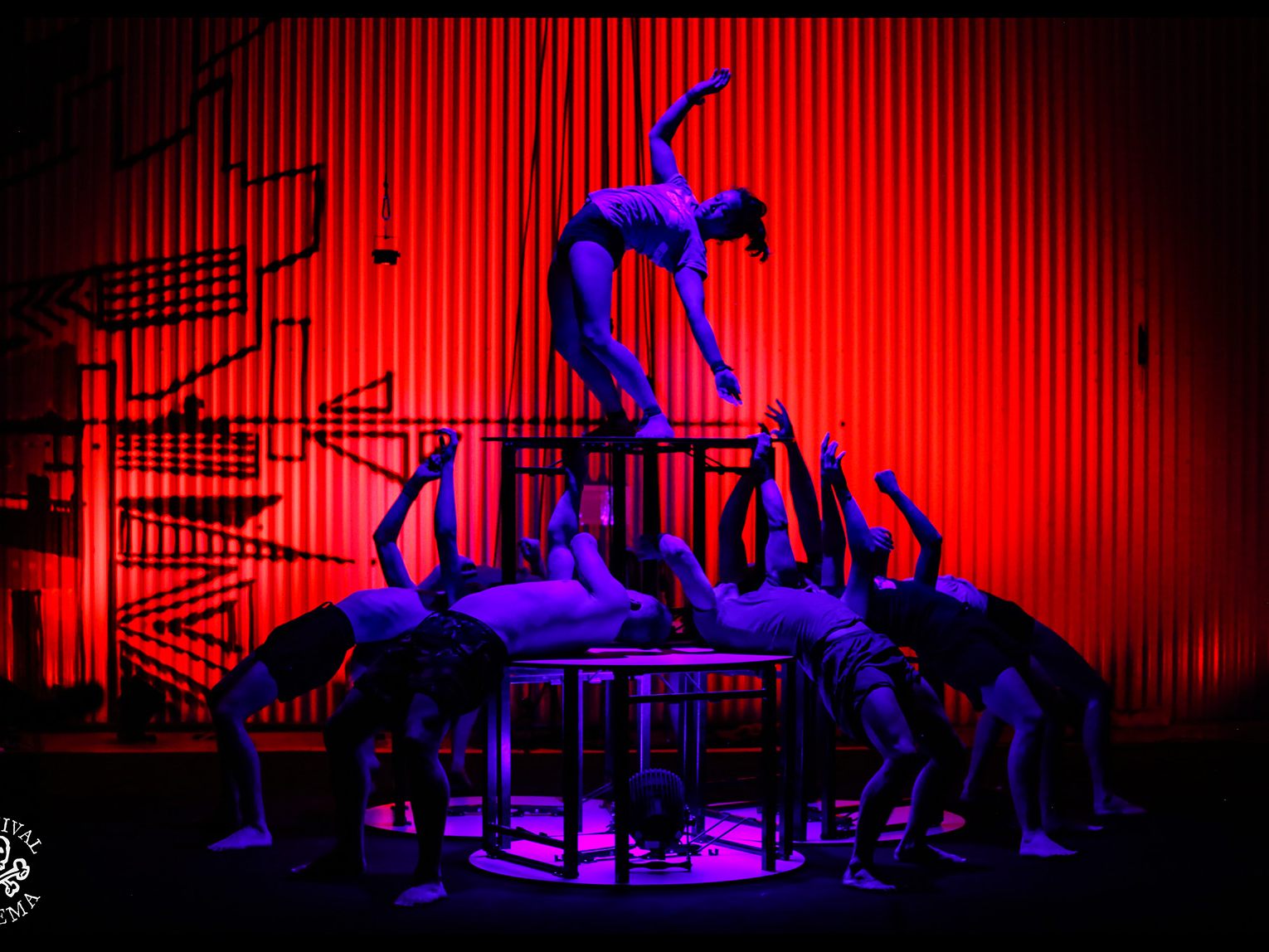 Die australischen Circus-Artisten von Gravity & other Myths kommen im Oktober 2021 doch noch nach Lustenau.