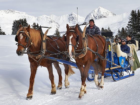 In der Pferdekutsche Arosa entdecken.