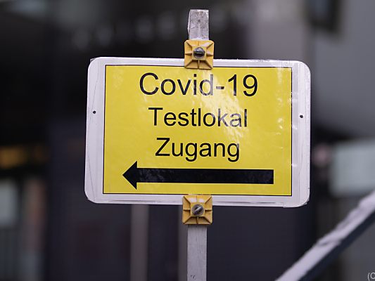 Demographen stellen indirekte Schätzmethode vor Demographen stellen indirekte Schätzmethode vor
