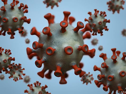 Das Coronavirus wird noch immer viel zu oft in Österreich gefunden
