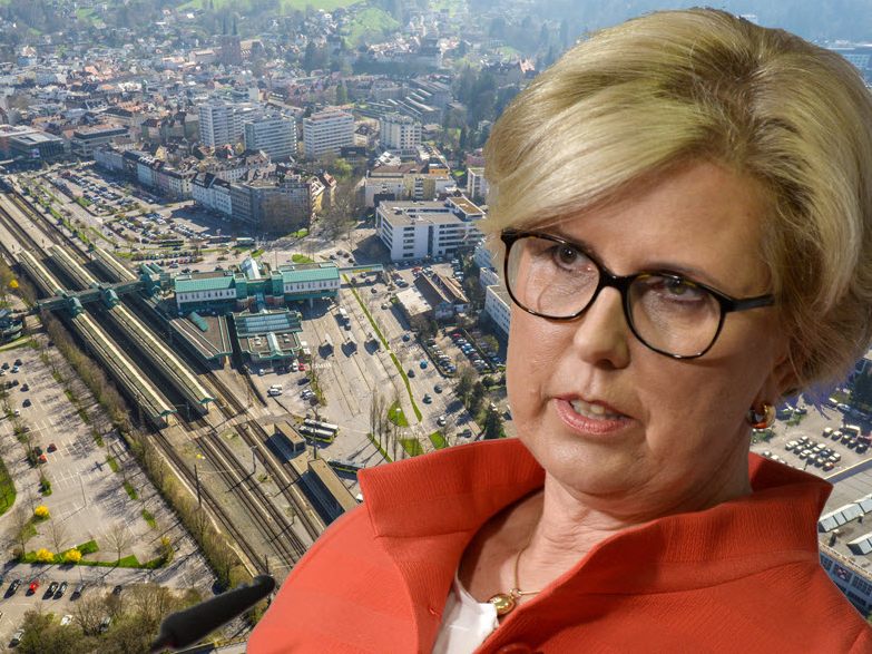 Unter die Lupe genommen wurden die Planungen für "Seestadt" und "Seequartier" Unter die Lupe genommen wurden die Planungen für "Seestadt" und "Seequartier"