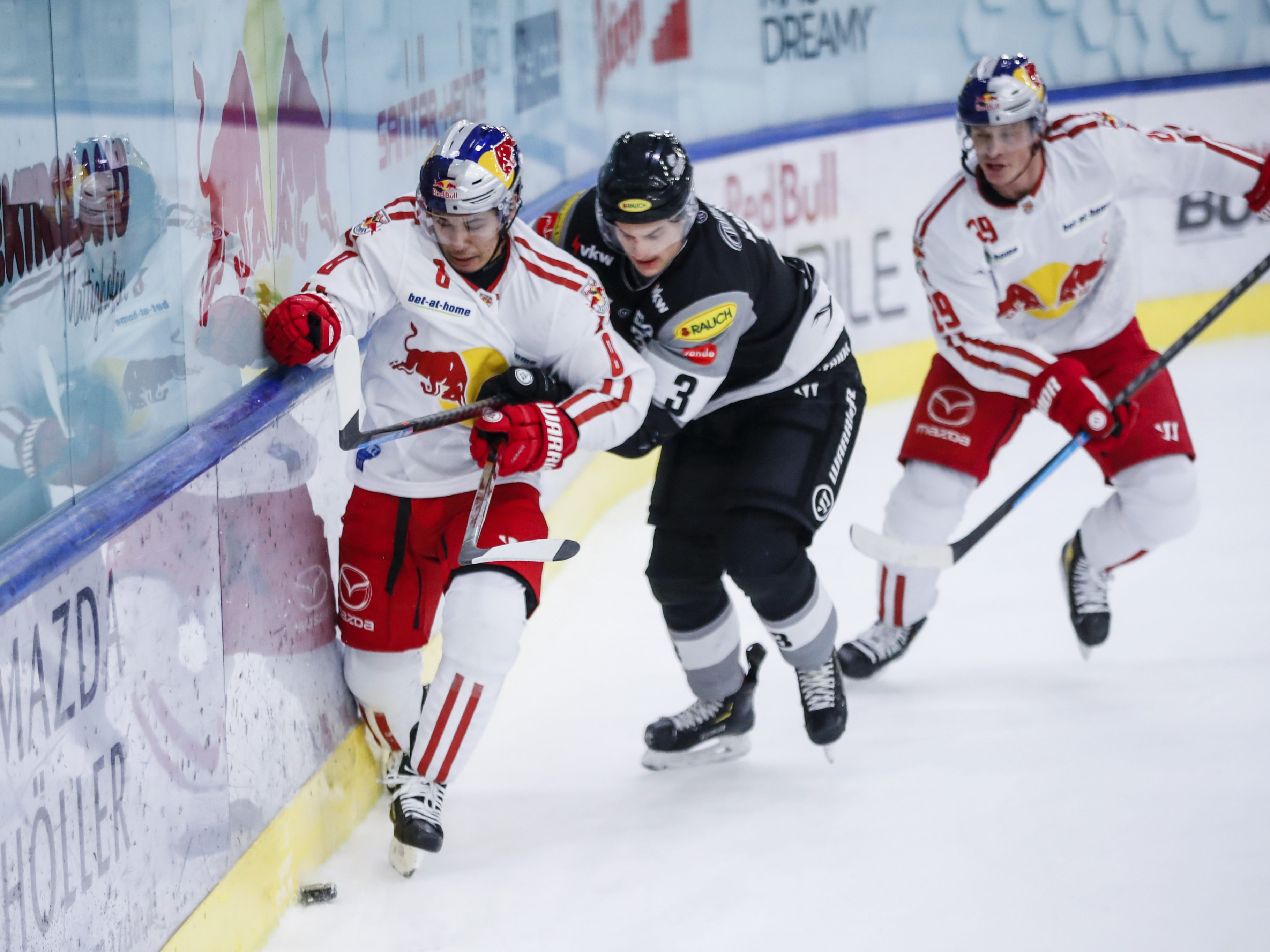 Die Bulldogs kamen heute trotz gutem Spiel leider nicht zu einem Erfolg. Die Bulldogs kamen heute trotz gutem Spiel leider nicht zu einem Erfolg.