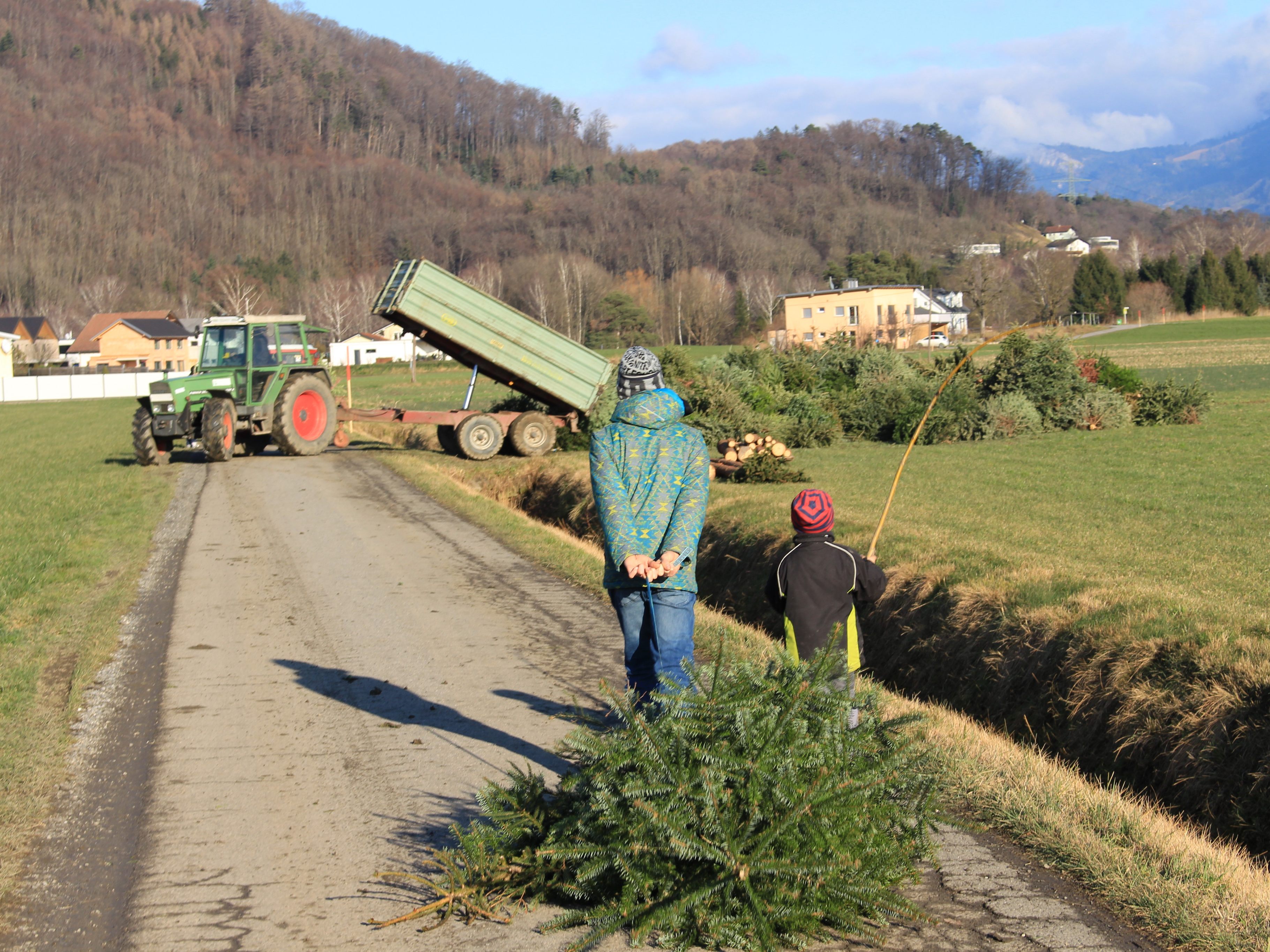 Christbaum-Abgabe am Samstag, 9. Jänner 2021, von 9.00 – 17.00 Uhr im Kesselgut