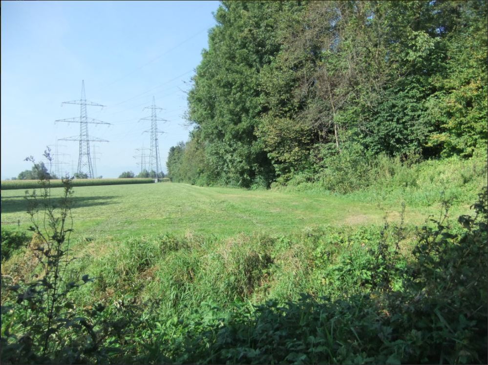 Hier soll der neue Weg entstehen Hier soll der neue Weg entstehen