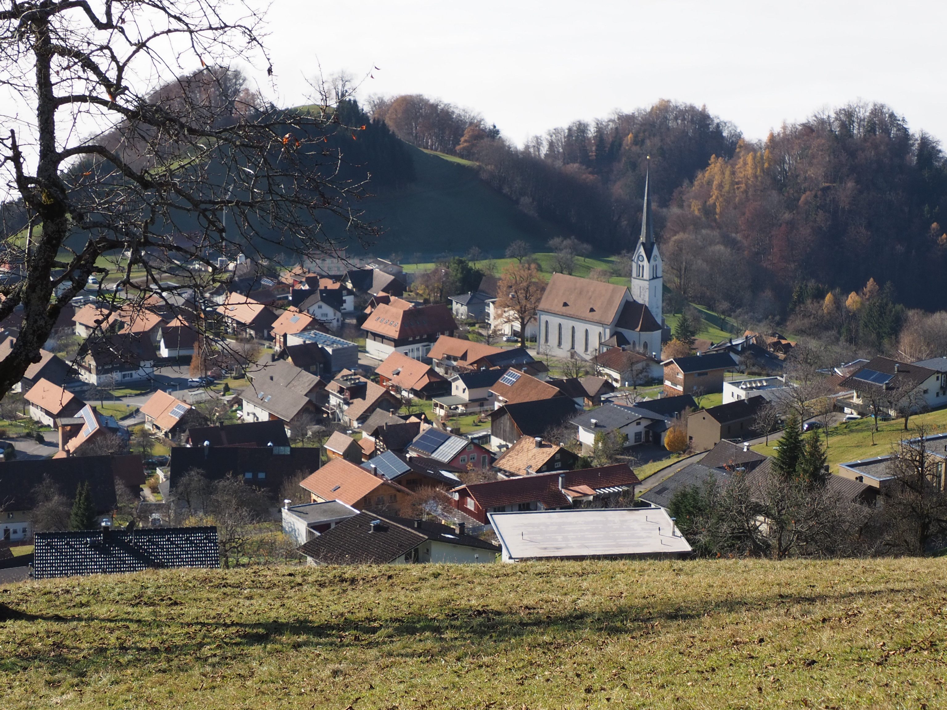 Gemeinde Fraxern