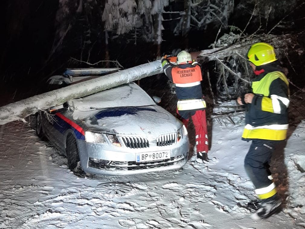 In Möggers stürzte ein Baum auf ein Polizeiauto.