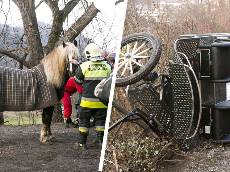 Frau bei Unfall aus Kutsche geschleudert.