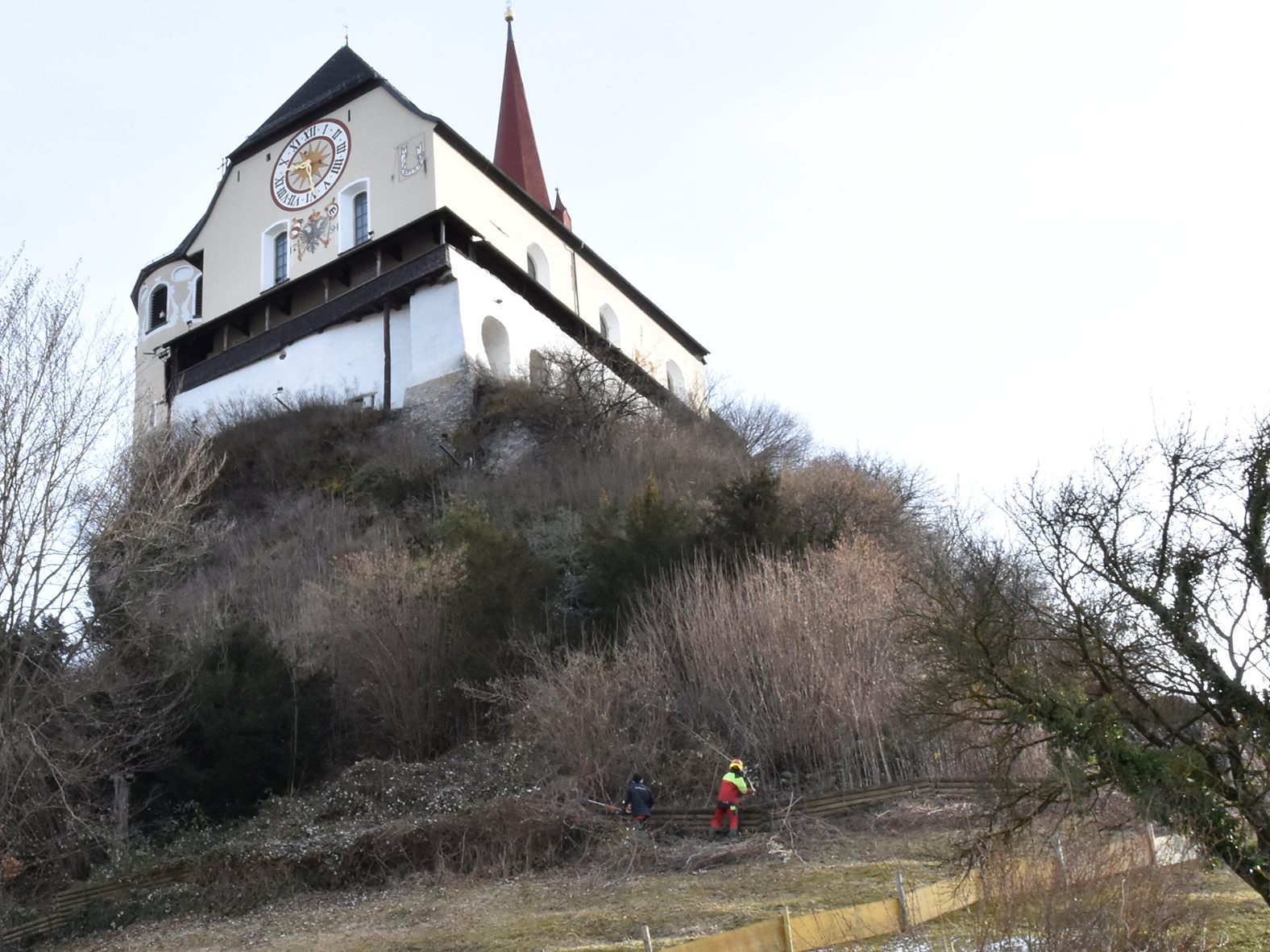 Mitarbeiter des Rankweiler Bauhofs beim Auslichten des Gehölzes am Liebfrauenberg.