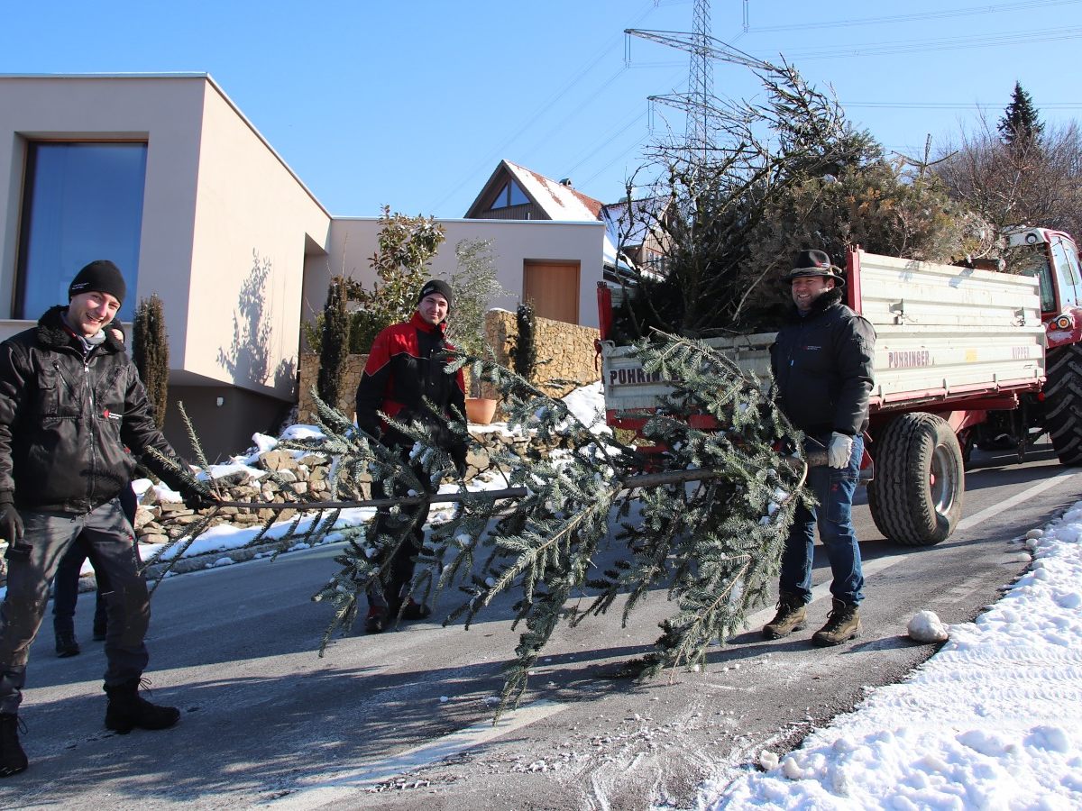 Das Christbaum-Einsammeln ist ein geschätztes Ritual im Vorfeld eines jeden Funkens.