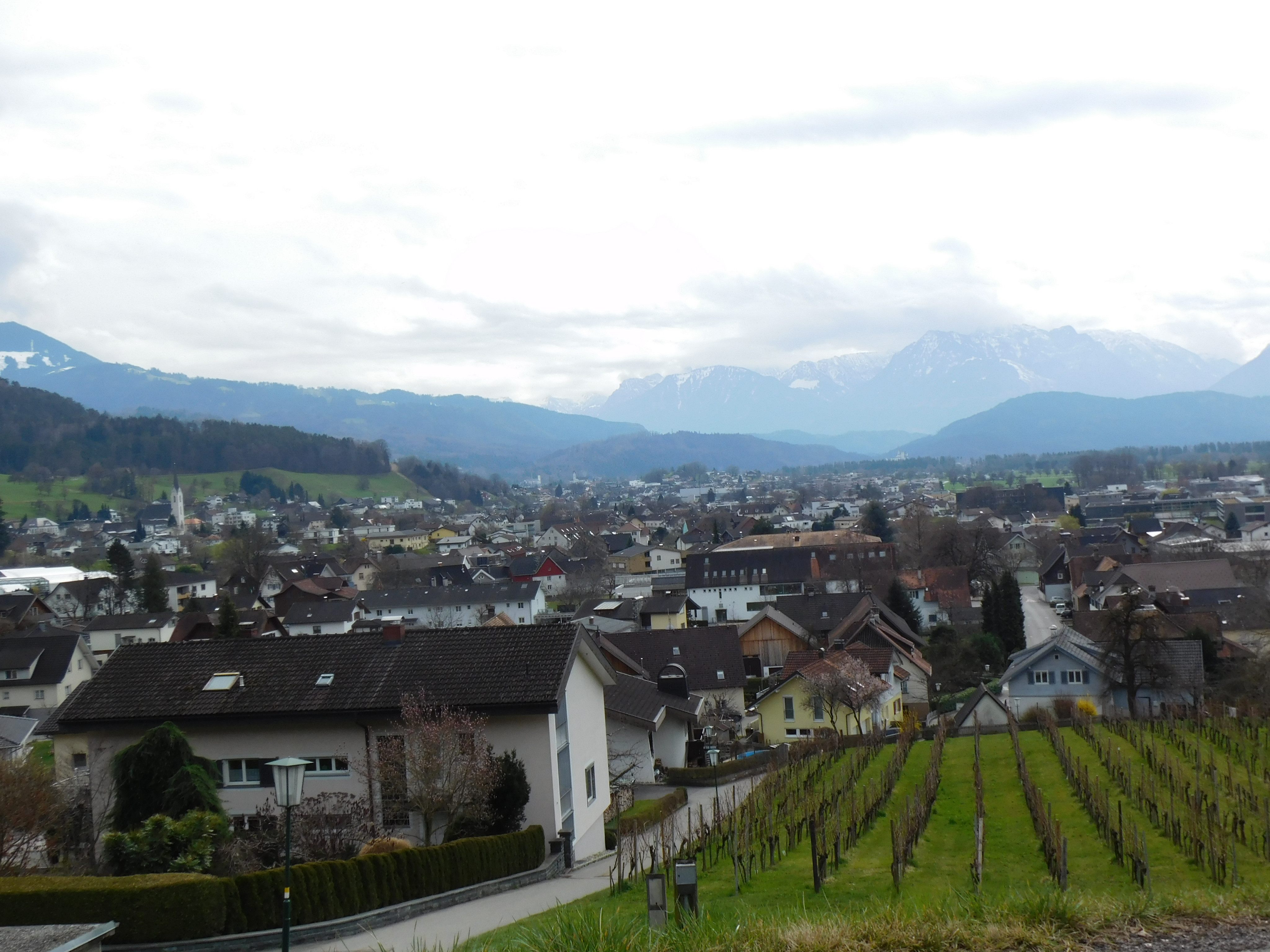 Die Region Vorderland-Feldkirch setzt sich für nachhaltigen Klimawandel ein