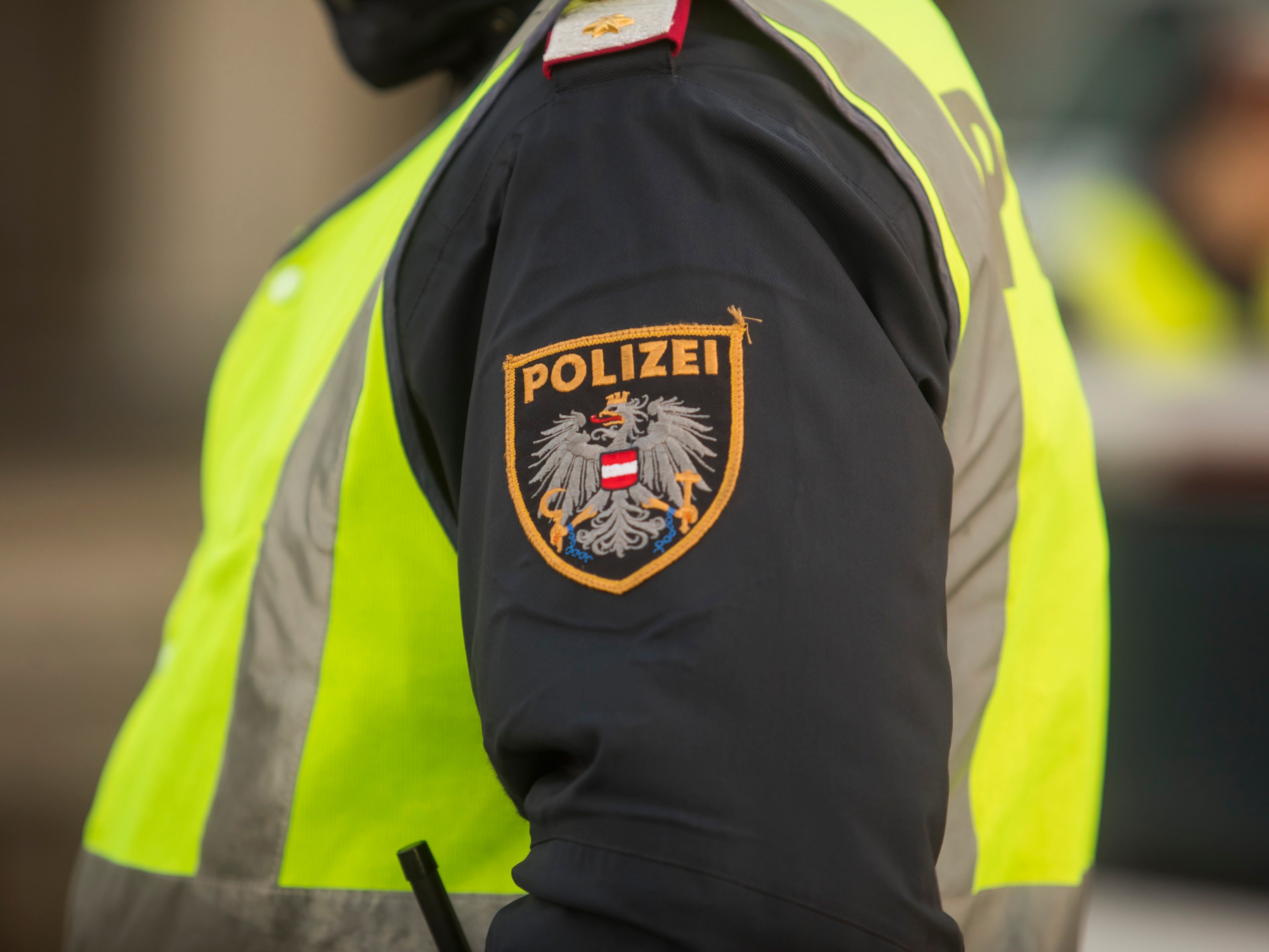 An der Fahndung waren acht Streifen der Polizei im Einsatz. An der Fahndung waren acht Streifen der Polizei im Einsatz.