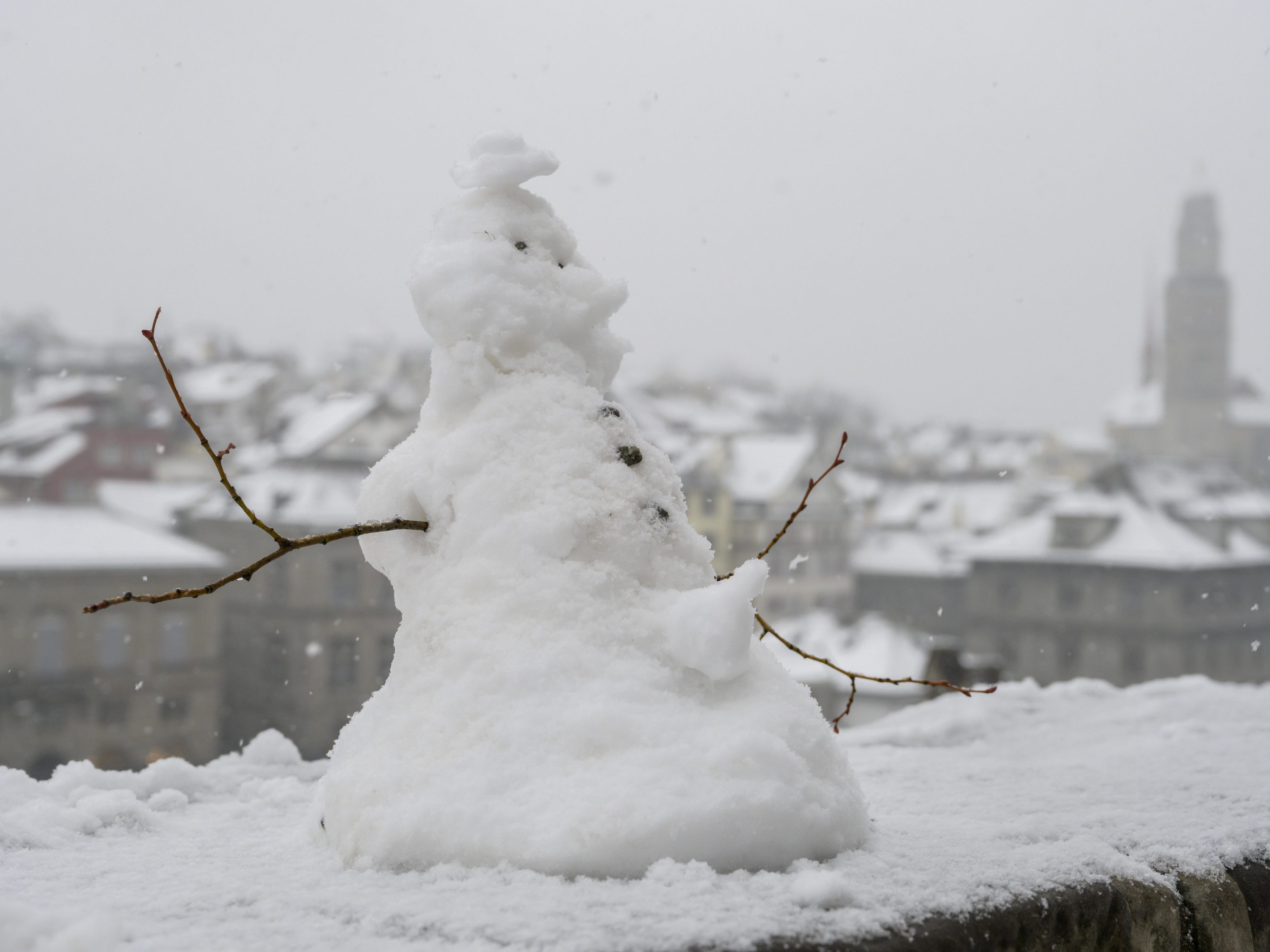 Ein kleiner Hund legt sich mit einem Schneemann an und ging damit im Internet viral.
