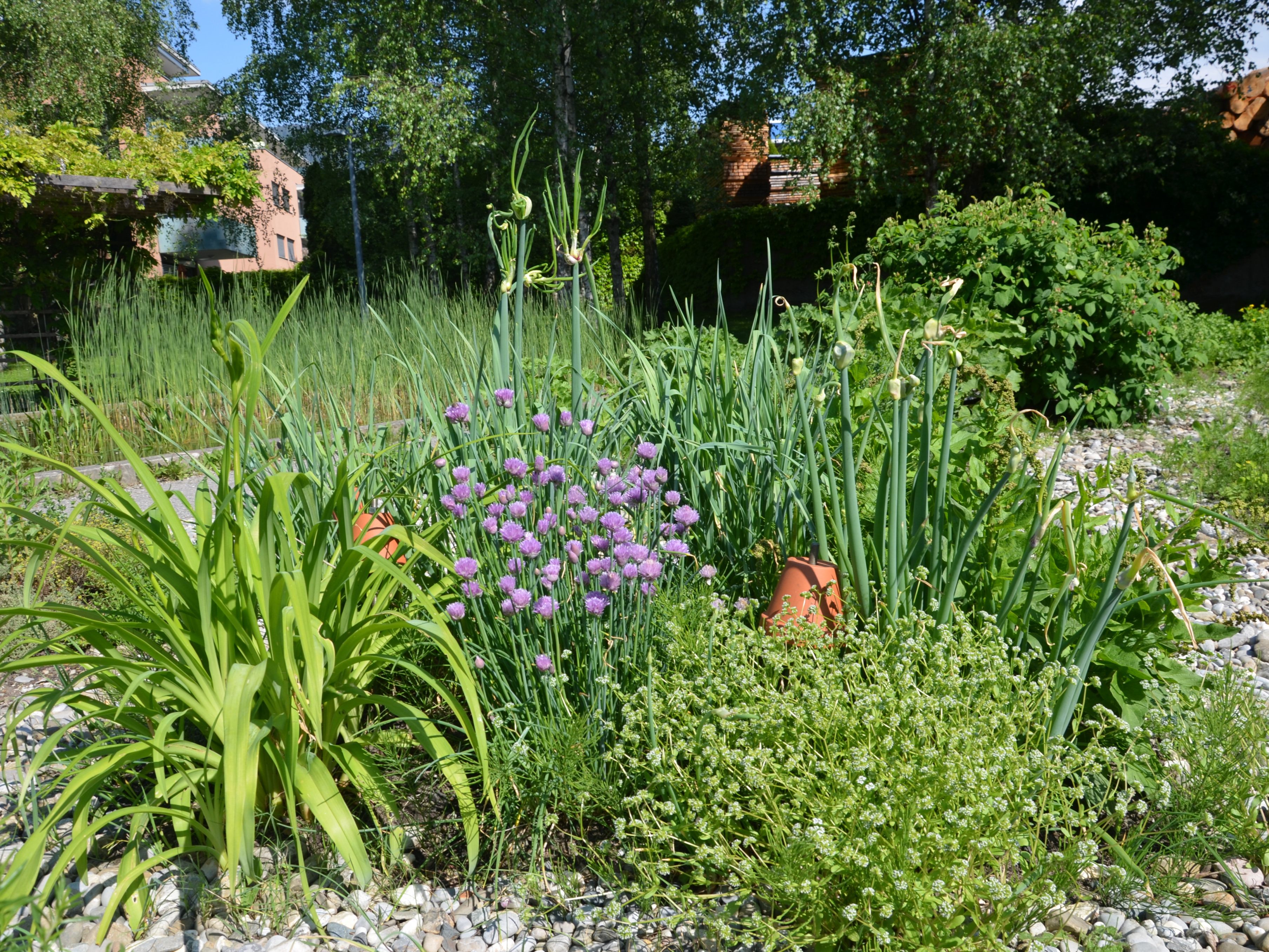 Beim Vortrag erfahren Interessierte, wie man den Garten naturnah gestalten kann. Beim Vortrag erfahren Interessierte, wie man den Garten naturnah gestalten kann.