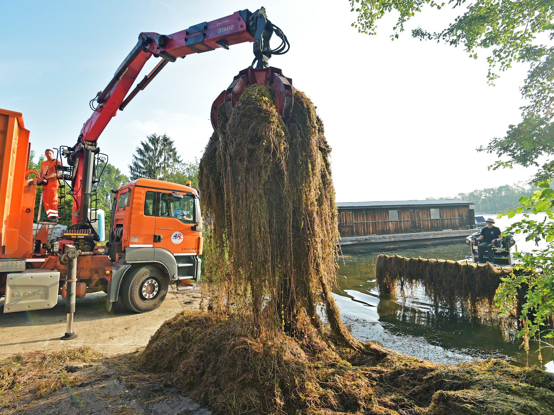 Jährlich werden Tausende Tonnen Wasserpflanzen in Wien aus der Donau gefischt. Jährlich werden Tausende Tonnen Wasserpflanzen in Wien aus der Donau gefischt.