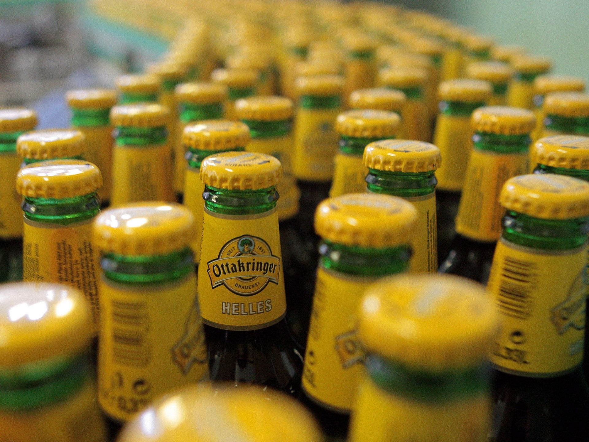 немецкое пиво в ленте. либенброй хель пиво. хелес. мюнхенский хеллес пиво. пиво ayinger hell.