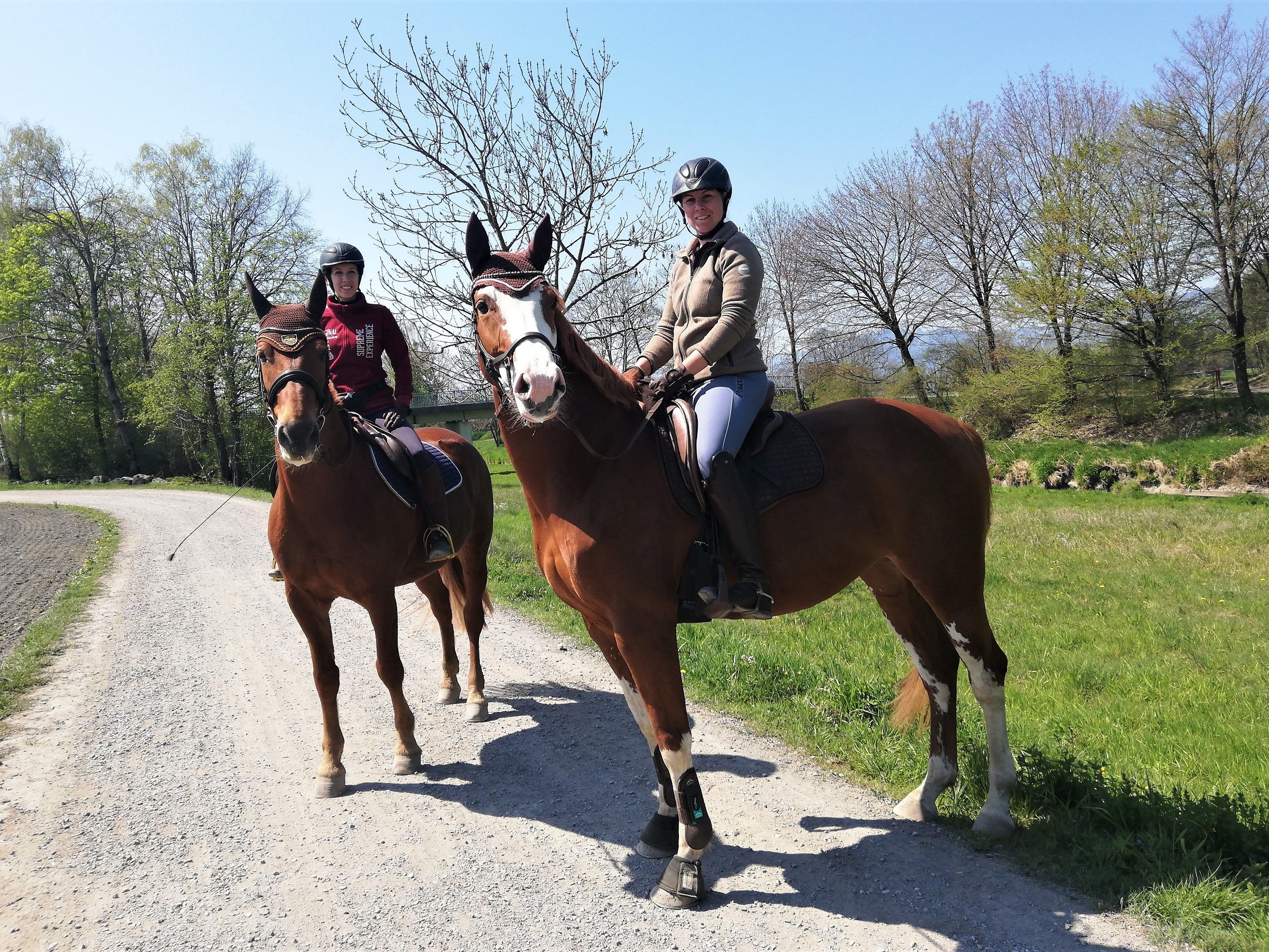 In erhöhter Perspektive genossen die beiden Reiterinnen den Frühling in der Riedlandschaft. In erhöhter Perspektive genossen die beiden Reiterinnen den Frühling in der Riedlandschaft.