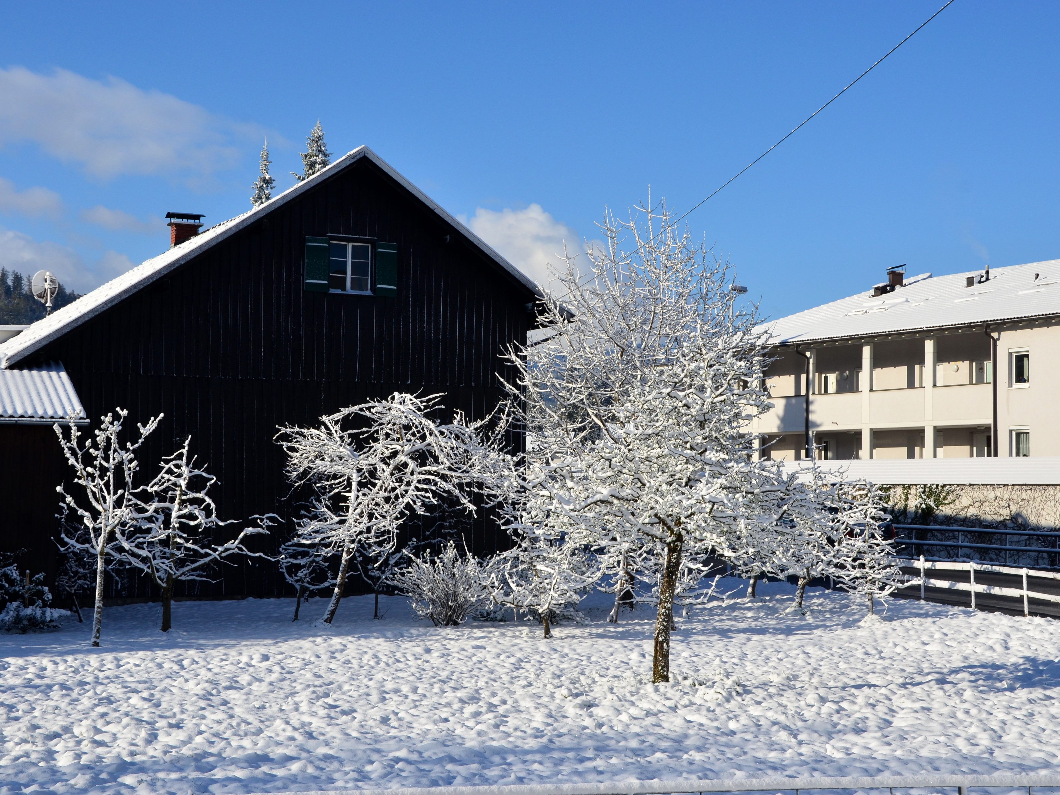 "Wintermorgen"